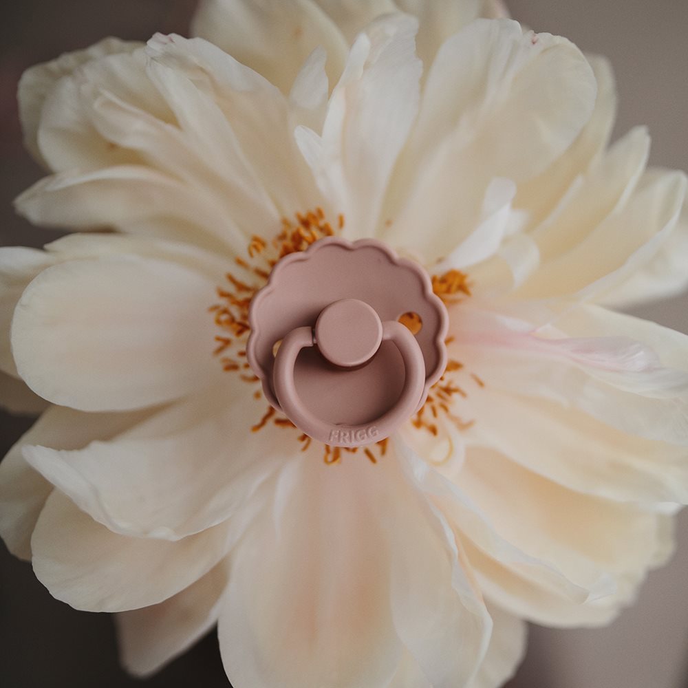Blush | Daisy | Round Latex Pacifier | Made in Denmark