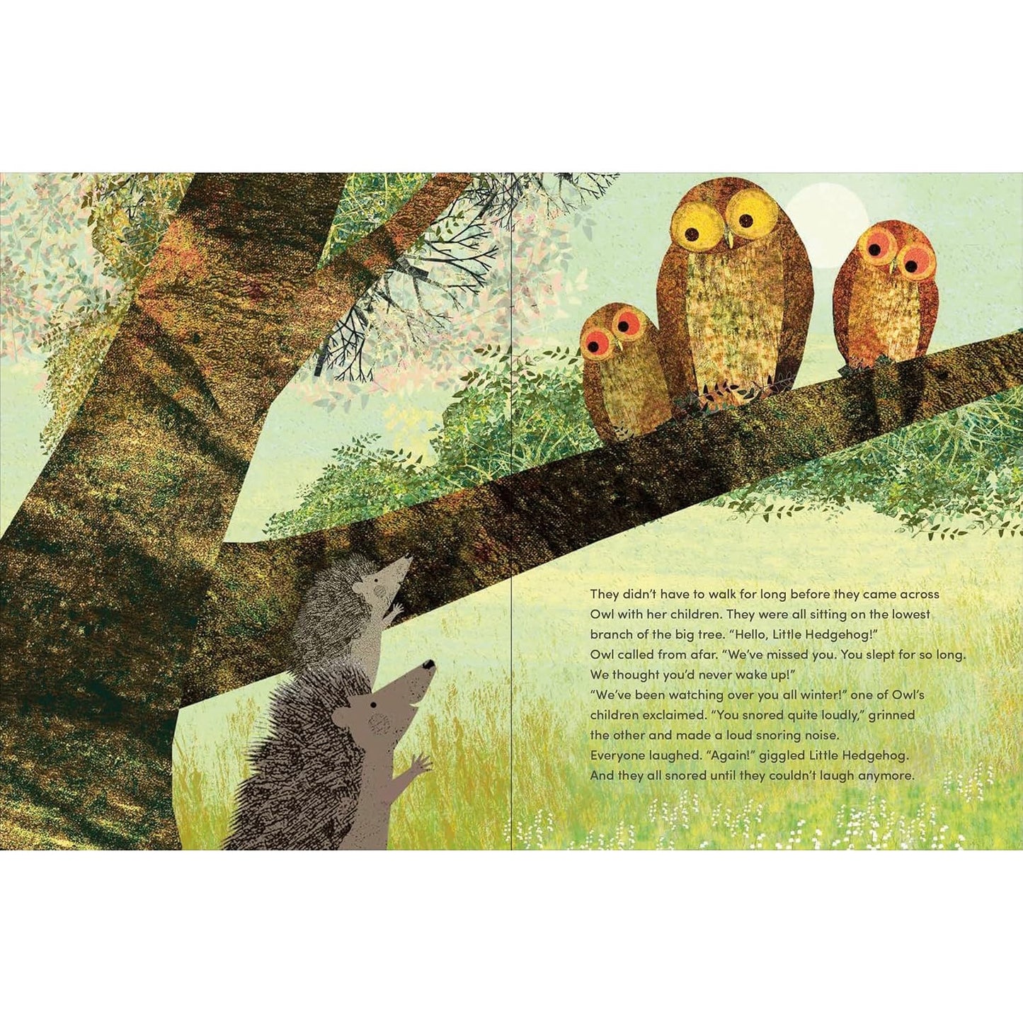 Again! - A Big Hedgehog and Little Hedgehog Adventure | Hardcover | Children’s Book on Emotions & Feelings