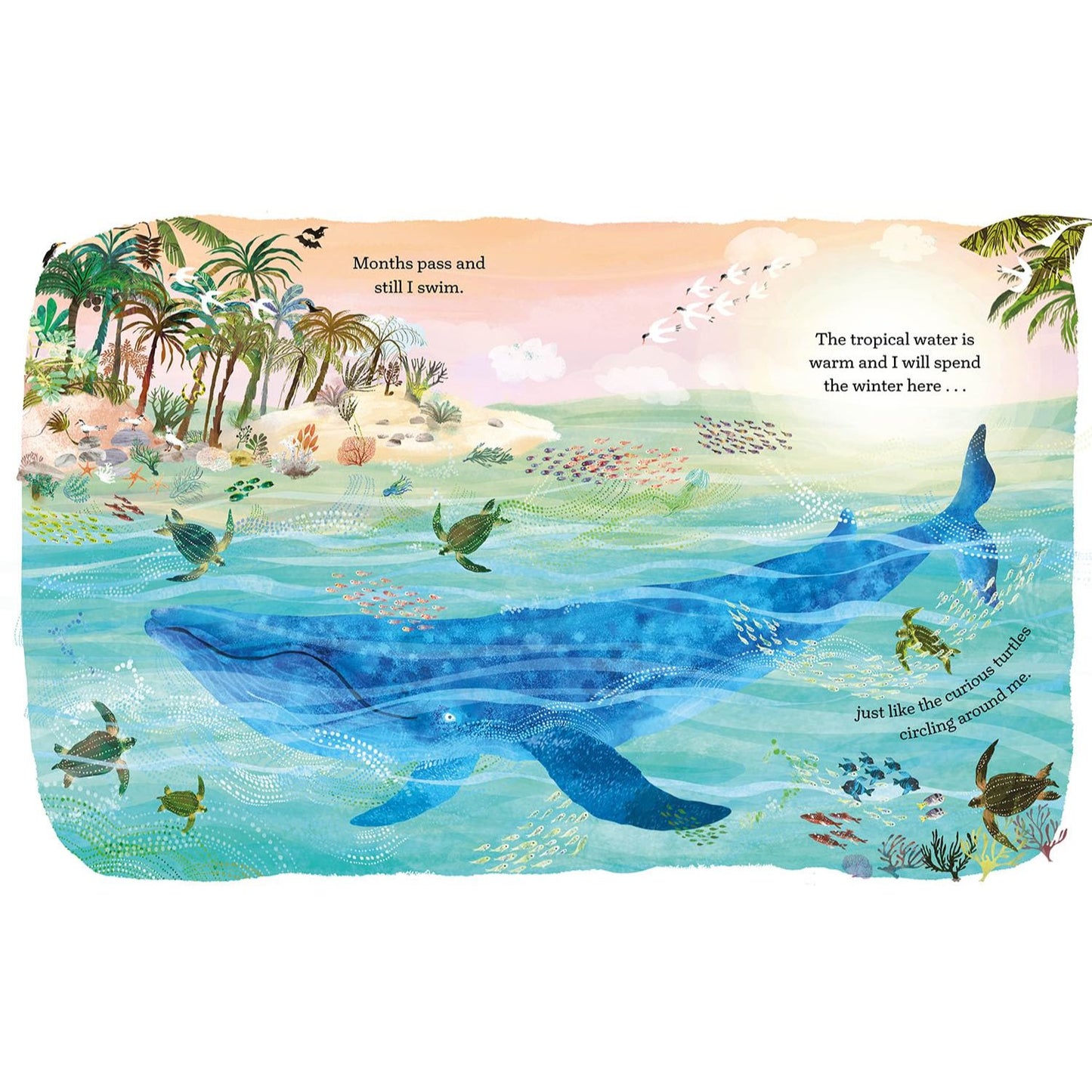 The Whale that Sings in the Deep | Hardcover | Children's Book on Ocean Animals