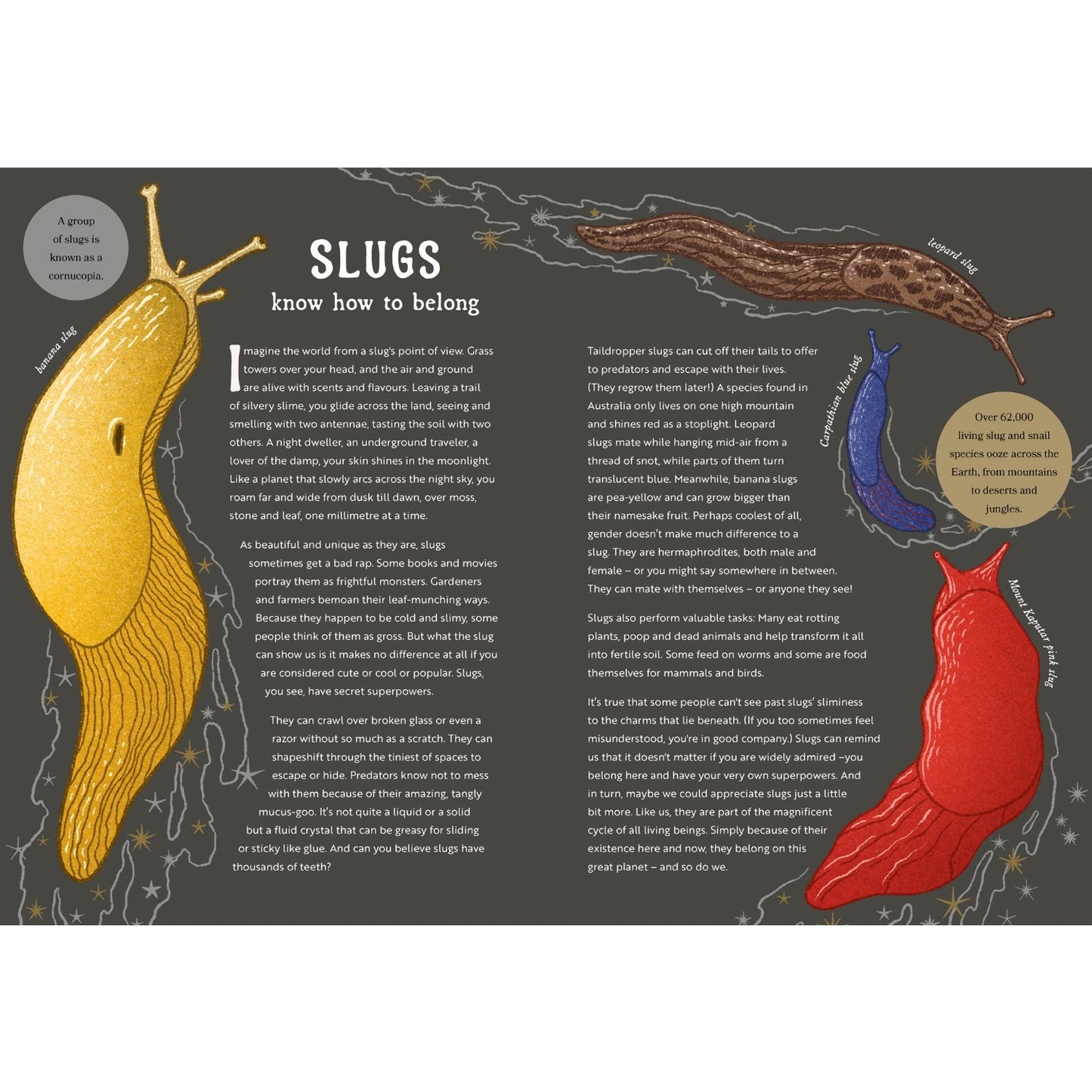 Hidden Wisdom of Animals - Surprising Things We Can Learn From Nature | Hardcover | Children's Book on Animals