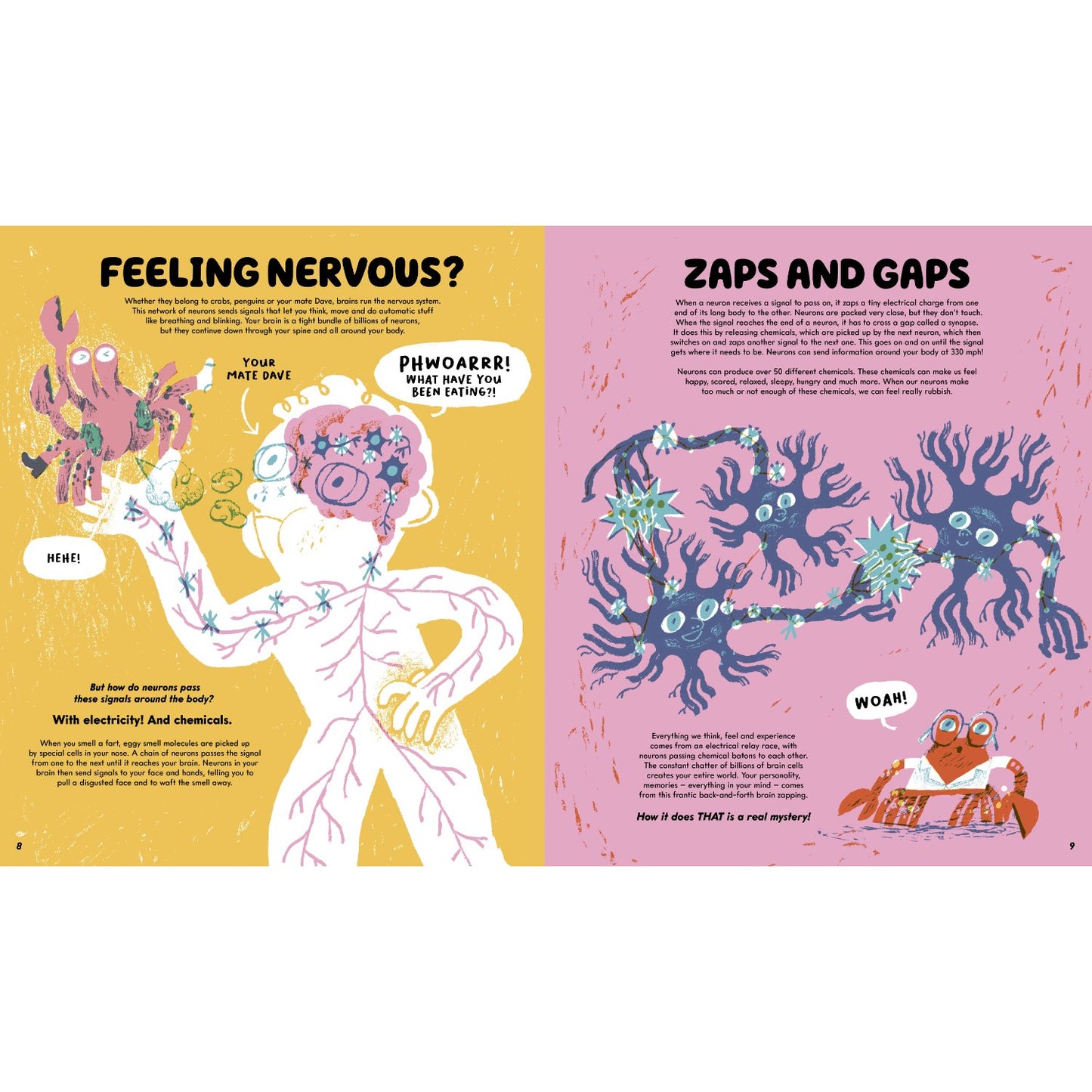 No-Brainer Brain Explainer - How Animals Think, from Humans to Birdbrains | Hardcover | Children's Book on Space & Science