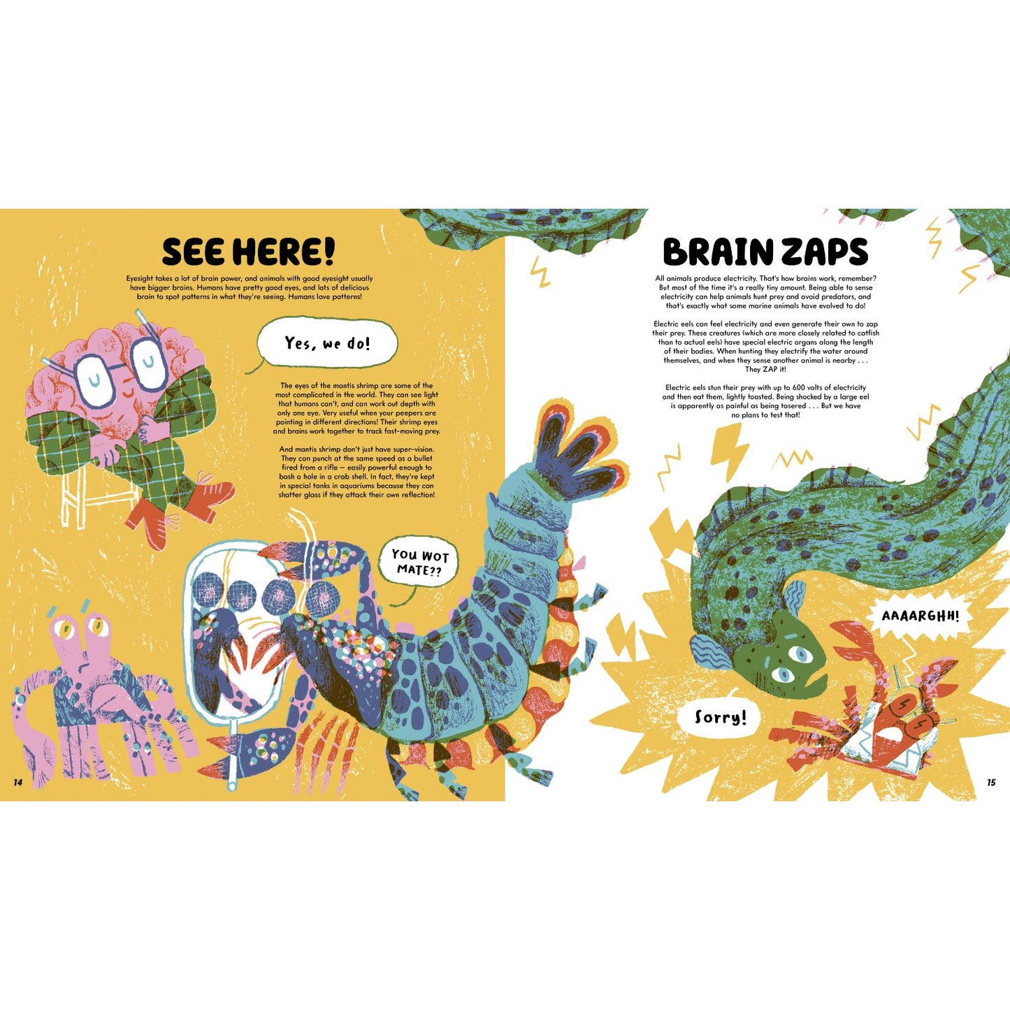 No-Brainer Brain Explainer - How Animals Think, from Humans to Birdbrains | Hardcover | Children's Book on Space & Science