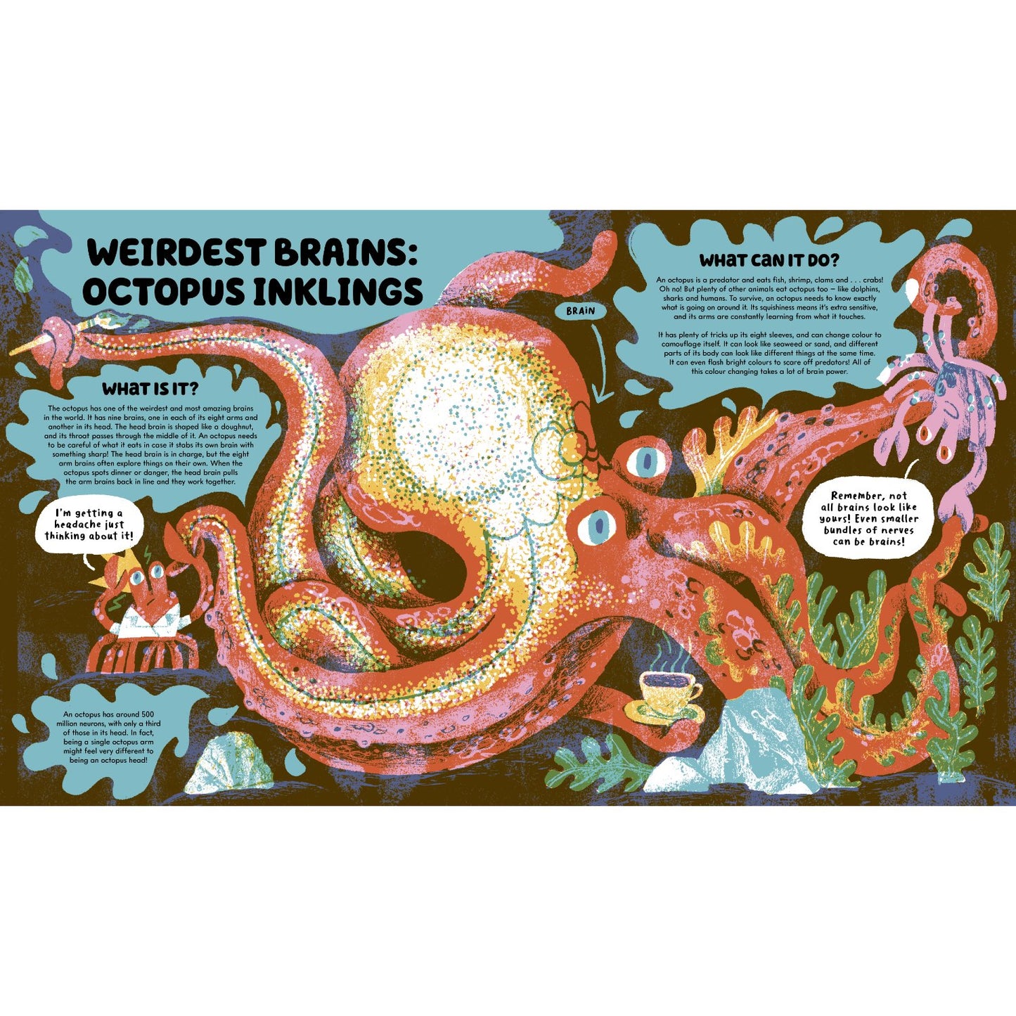 No-Brainer Brain Explainer - How Animals Think, from Humans to Birdbrains | Hardcover | Children's Book on Space & Science