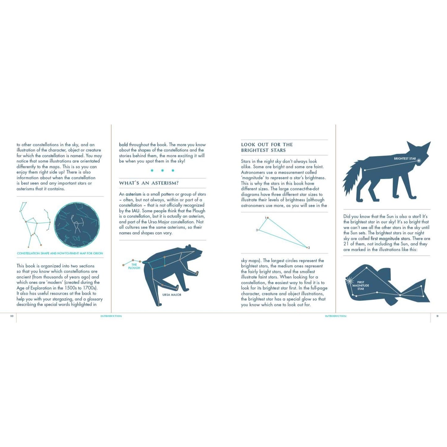 Seeing Stars - A Complete Guide to the 88 Constellations | Hardcover | Children's Book