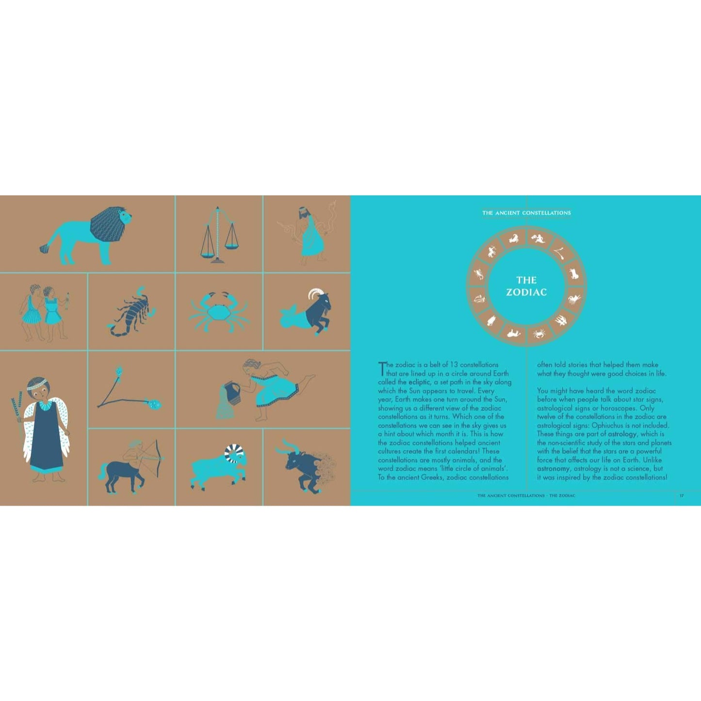 Seeing Stars - A Complete Guide to the 88 Constellations | Hardcover | Children's Book