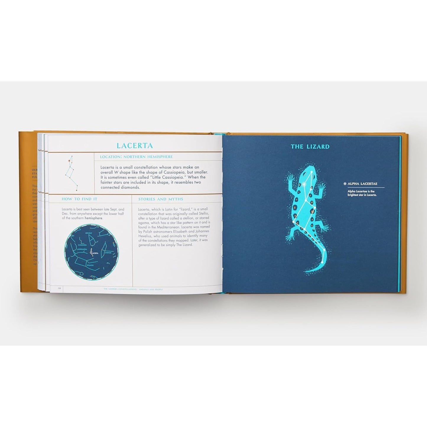Seeing Stars - A Complete Guide to the 88 Constellations | Hardcover | Children's Book