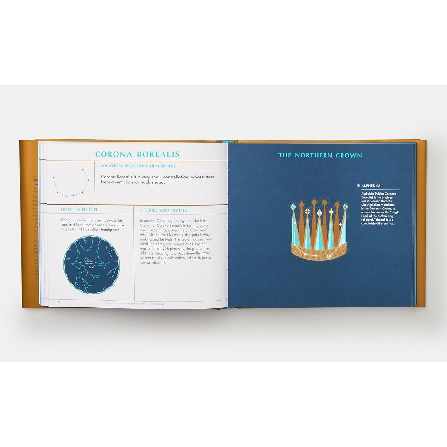 Seeing Stars - A Complete Guide to the 88 Constellations | Hardcover | Children's Book