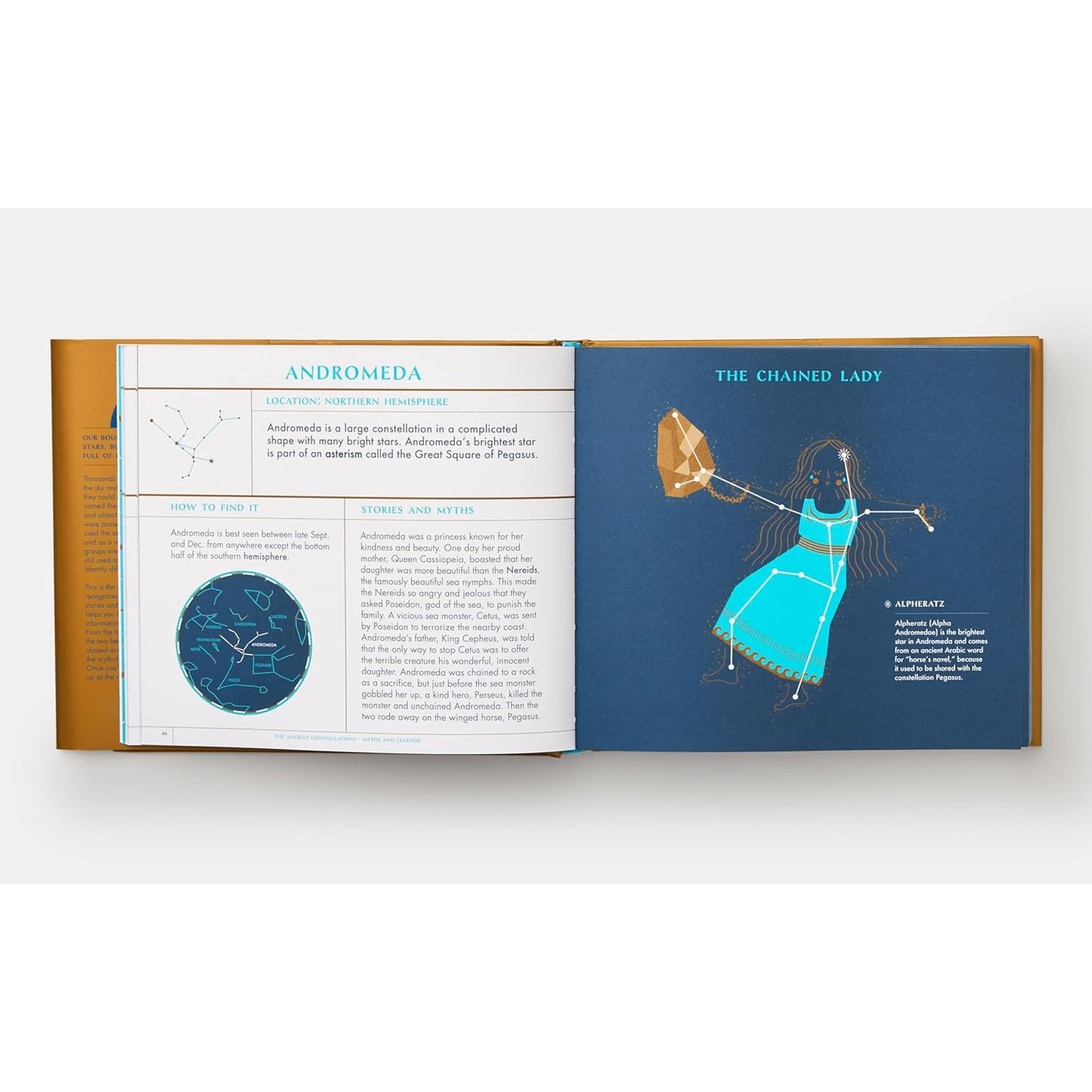 Seeing Stars - A Complete Guide to the 88 Constellations | Hardcover | Children's Book
