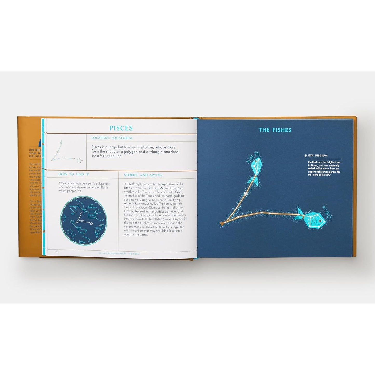 Seeing Stars - A Complete Guide to the 88 Constellations | Hardcover | Children's Book