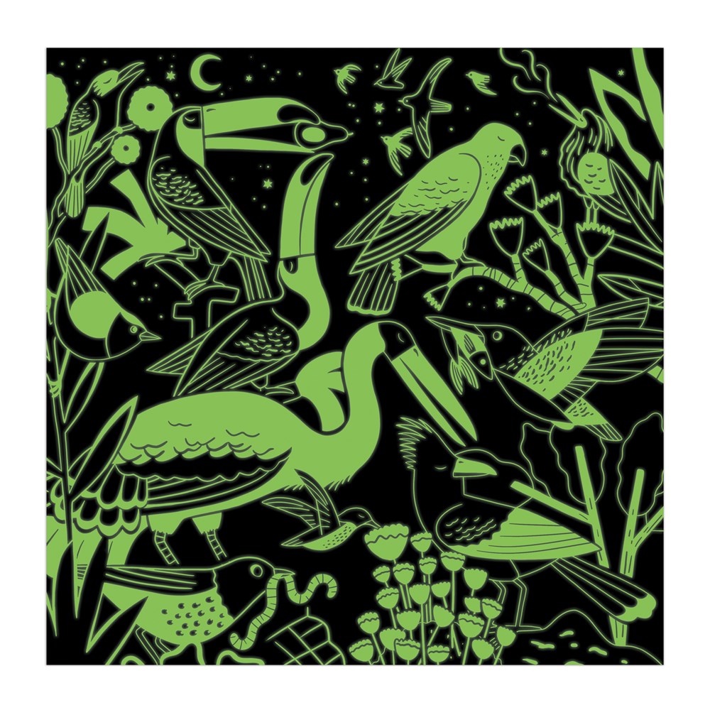 Birds Illuminated | 500 Piece Glow-In-The-Dark Family Jigsaw Puzzle