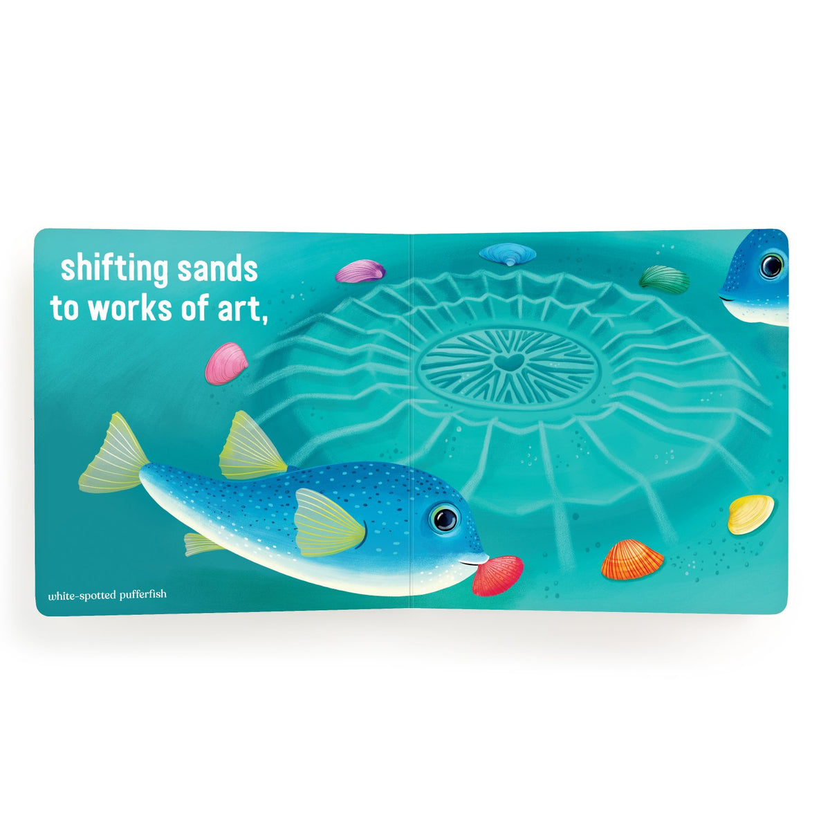Sample pages (5) from 'Love Under the Sea' by Mudpuppy and Katy Tanis - toddler board book