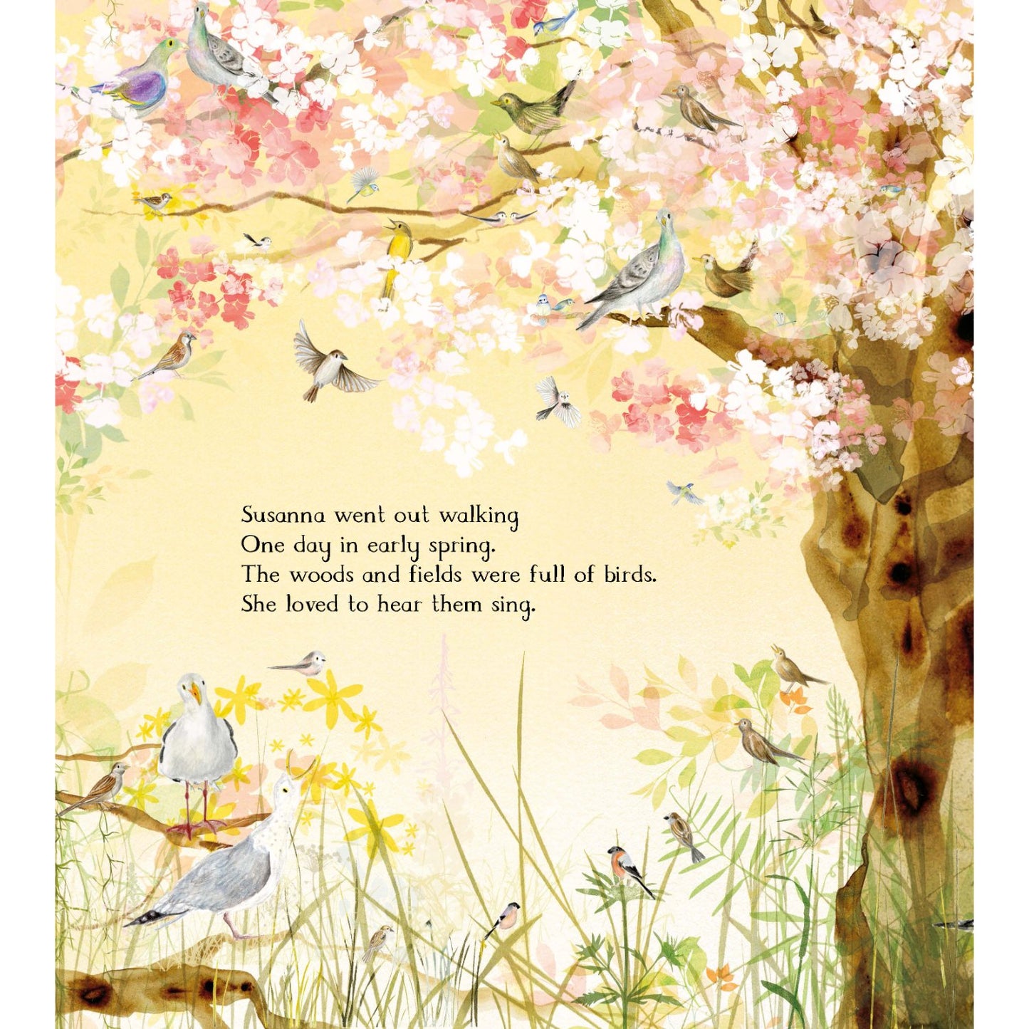 The Magic Feather | Hardcover | Children's Story Book