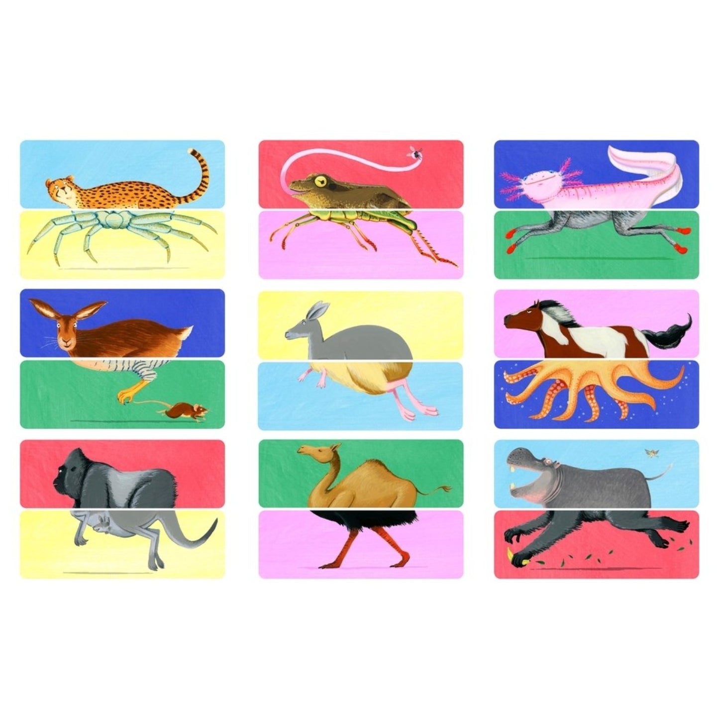 Whose Hooves? - An Animal Mix and Match Card Game | Children's Card Games
