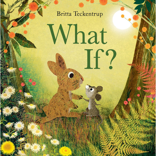 Preschool paperback cover: 'What If?' by Britta Teckentrup