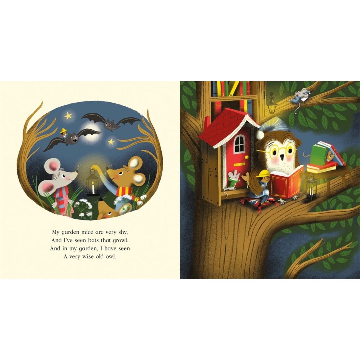 Nature Trail - A celebration of the natural wonders on our doorstep | Paperback | Children's Book on Nature