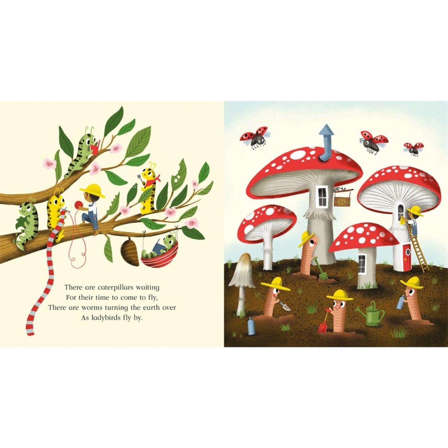 Nature Trail - A celebration of the natural wonders on our doorstep | Paperback | Children's Book on Nature