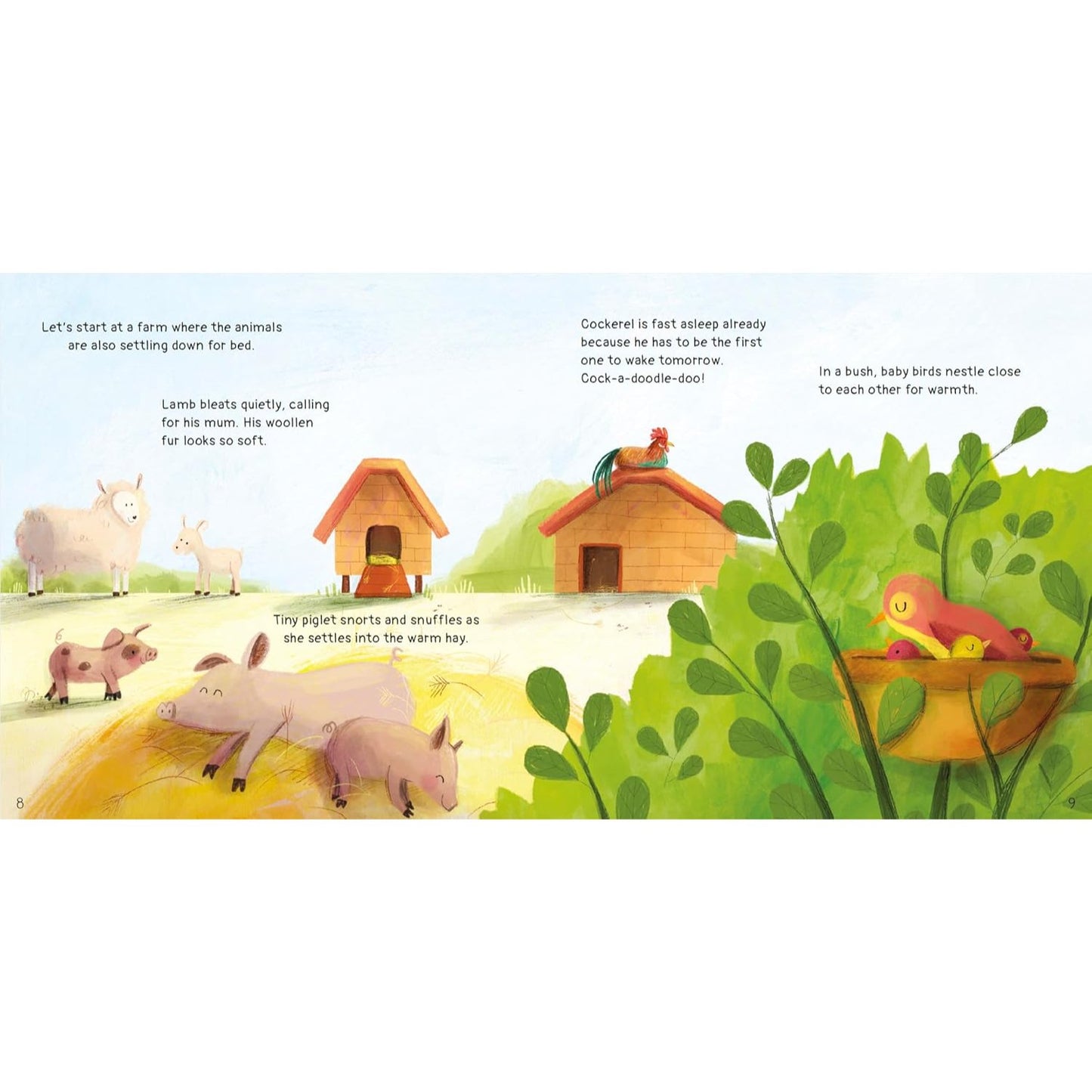 Sweet Dreams - What Can I Think About to Help Me Get to Sleep? | Hardcover | Children's Bedtime Book