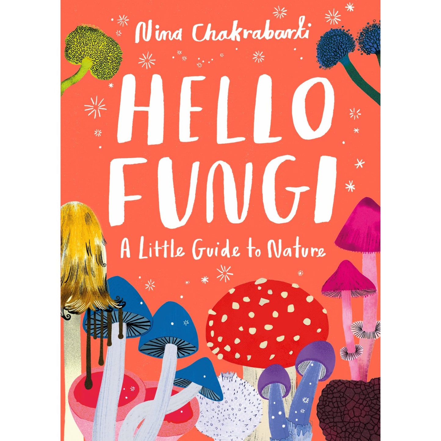 Little Guides to Nature: Hello Fungi | Hardcover | Children's Book on Nature