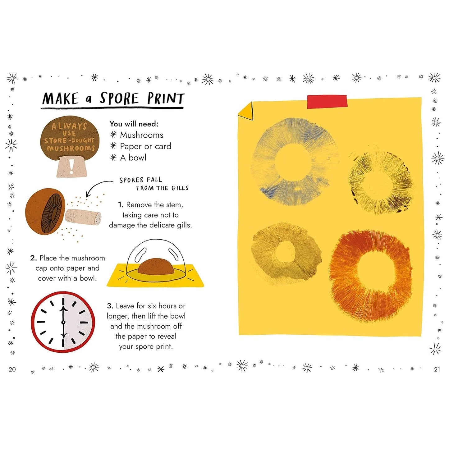 Little Guides to Nature: Hello Fungi | Hardcover | Children's Book on Nature