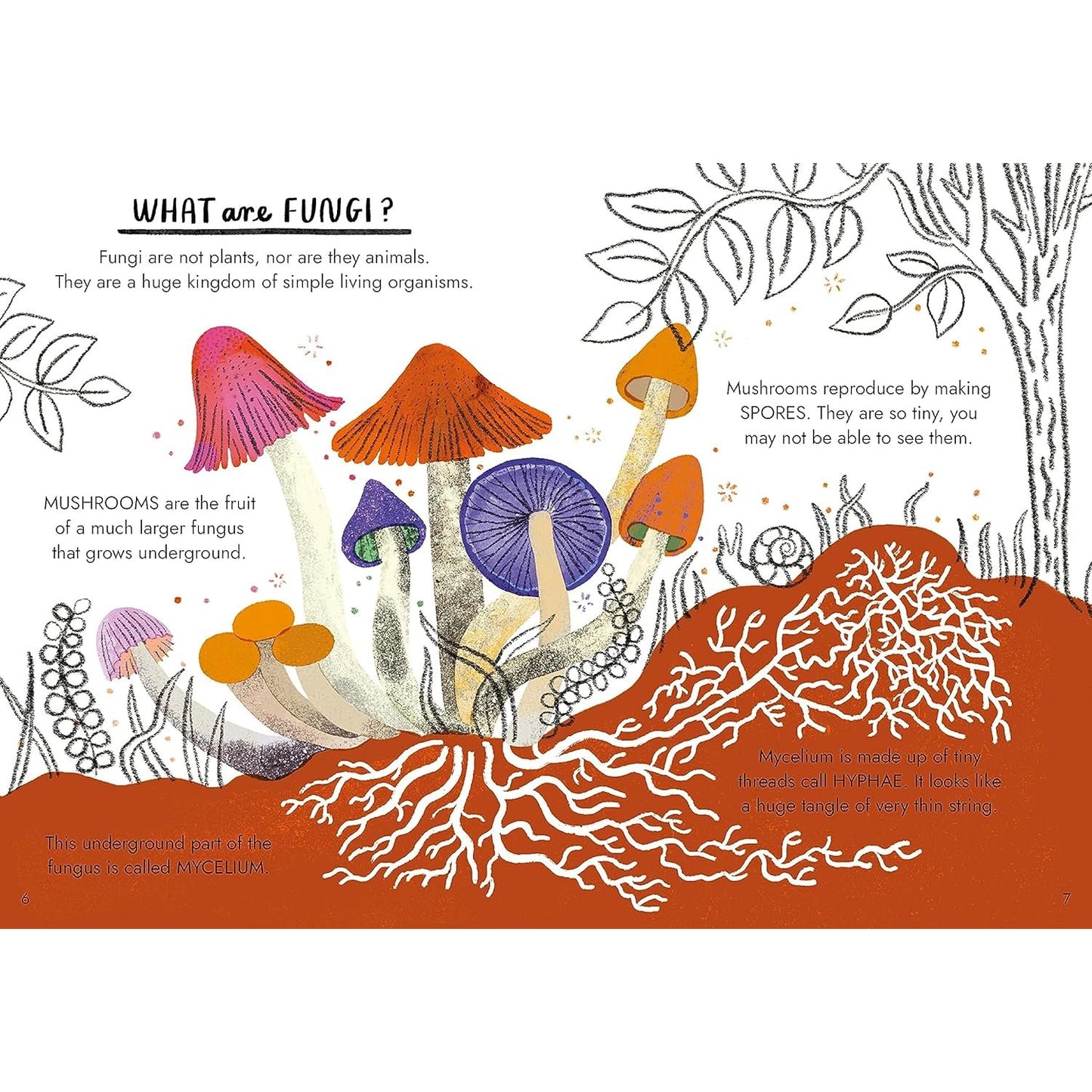 Little Guides to Nature: Hello Fungi | Hardcover | Children's Book on Nature