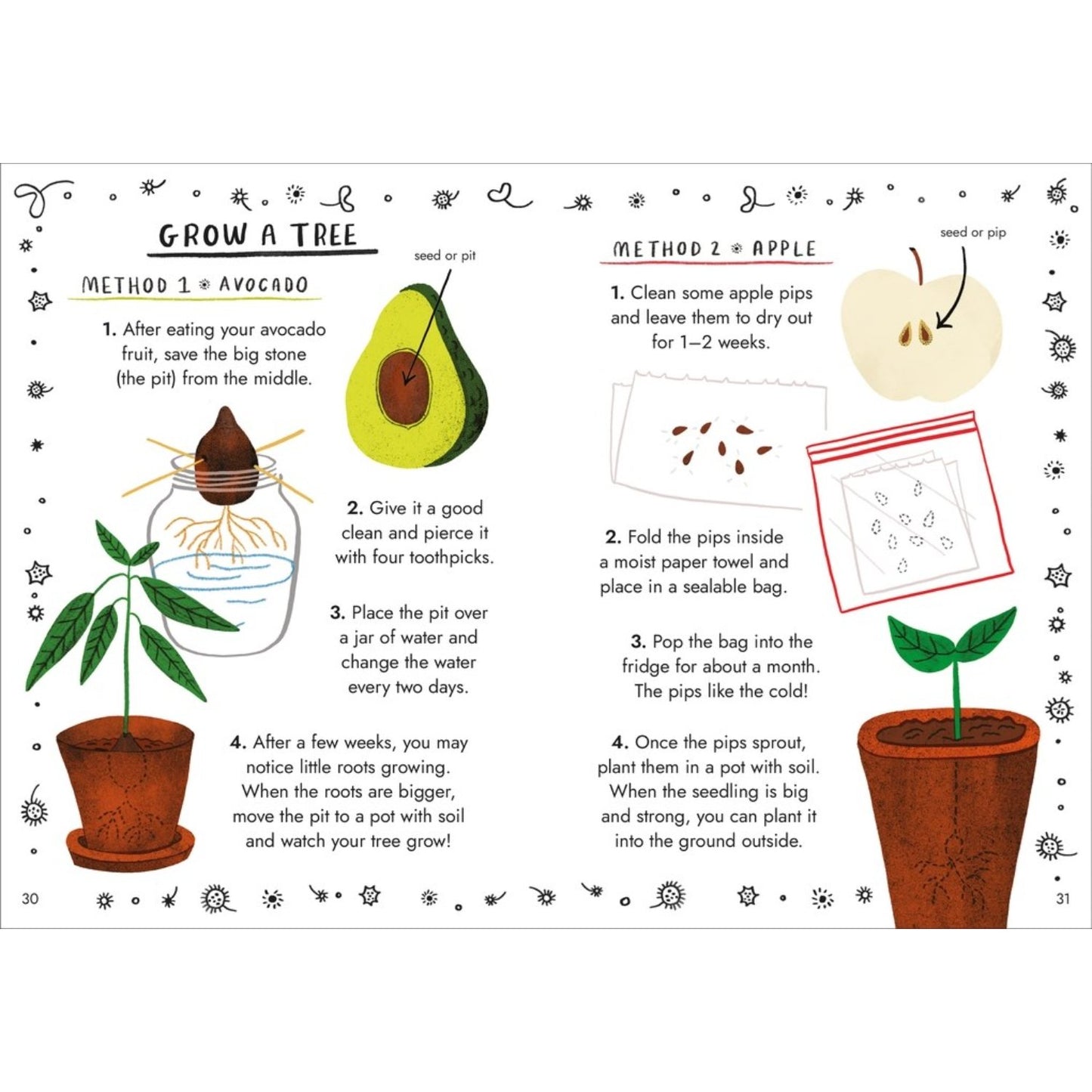 Little Guides to Nature: Hello Trees | Hardcover | Children's Book on Nature