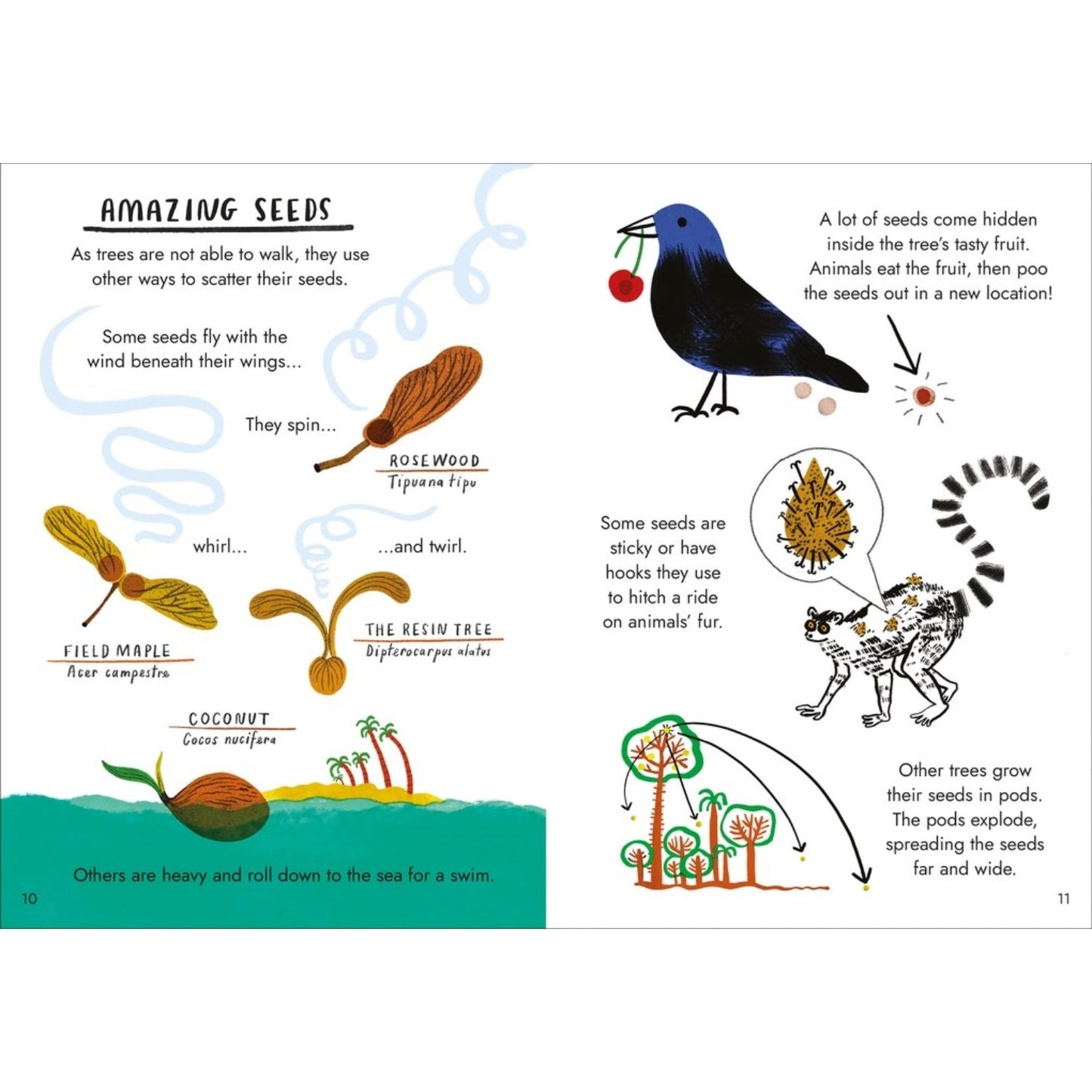 Little Guides to Nature: Hello Trees | Hardcover | Children's Book on Nature