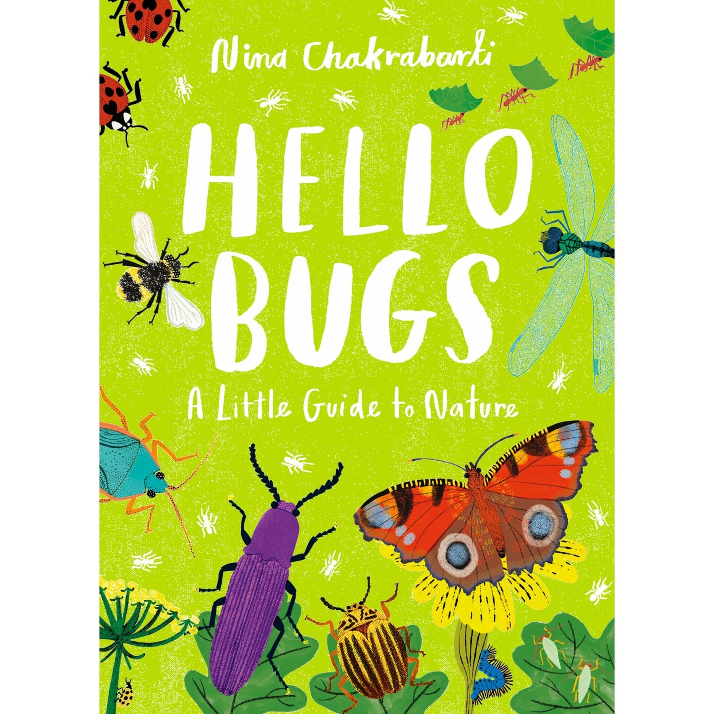 Little Guides to Nature: Hello Bugs | Hardcover | Children's Book on Nature