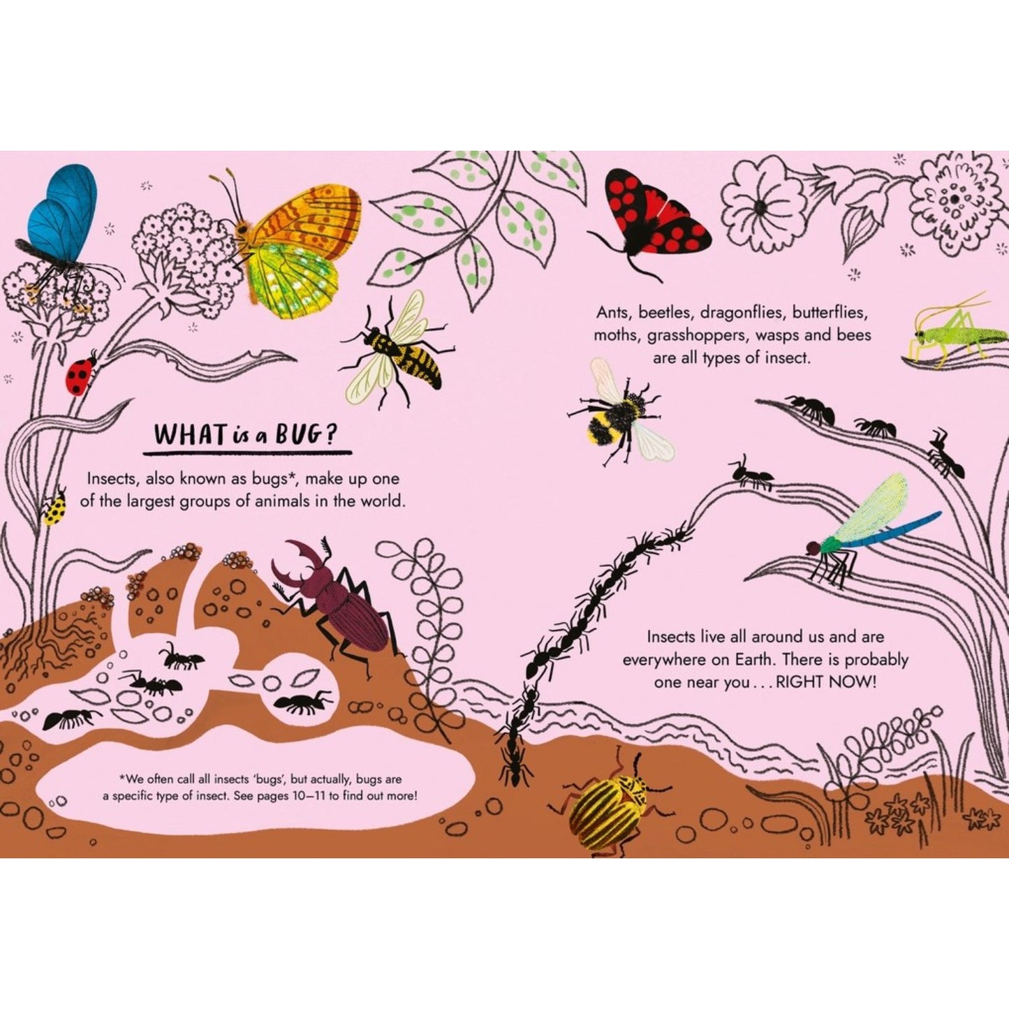 Little Guides to Nature: Hello Bugs | Hardcover | Children's Book on Nature