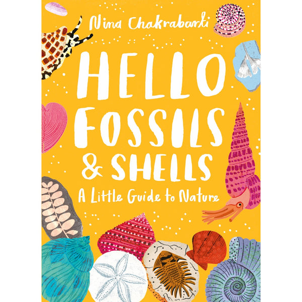 Little Guides to Nature: Hello Fossils and Shells | Hardcover | Children's Book on Nature