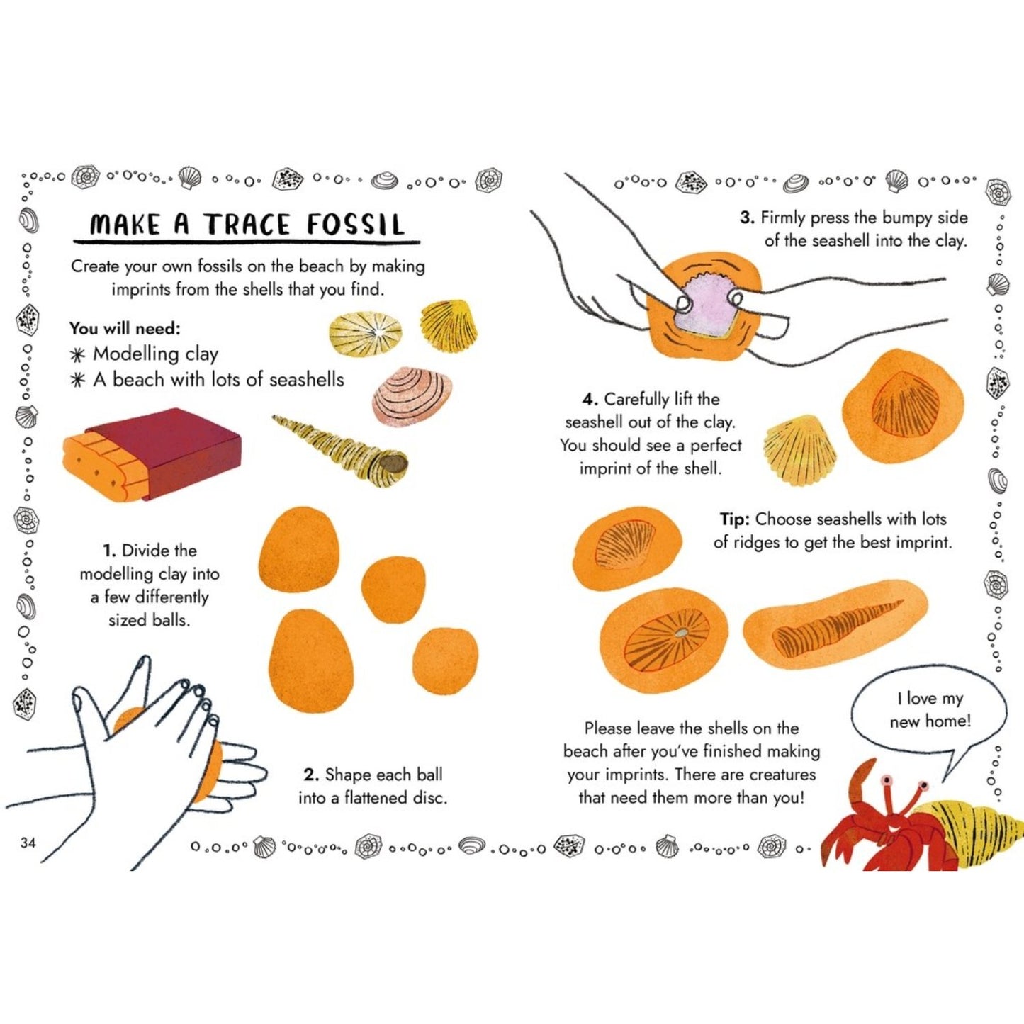 Little Guides to Nature: Hello Fossils and Shells | Hardcover | Children's Book on Nature