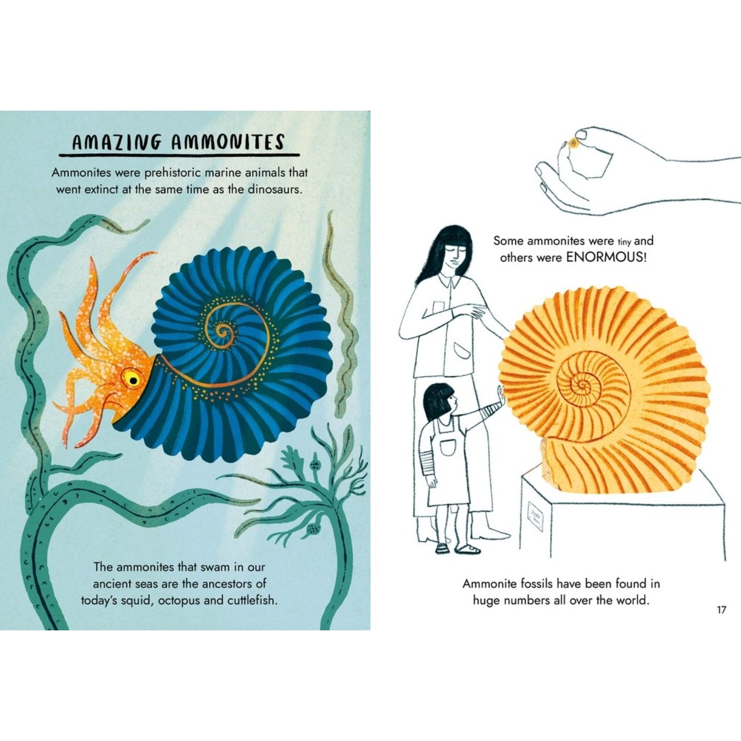 Little Guides to Nature: Hello Fossils and Shells | Hardcover | Children's Book on Nature