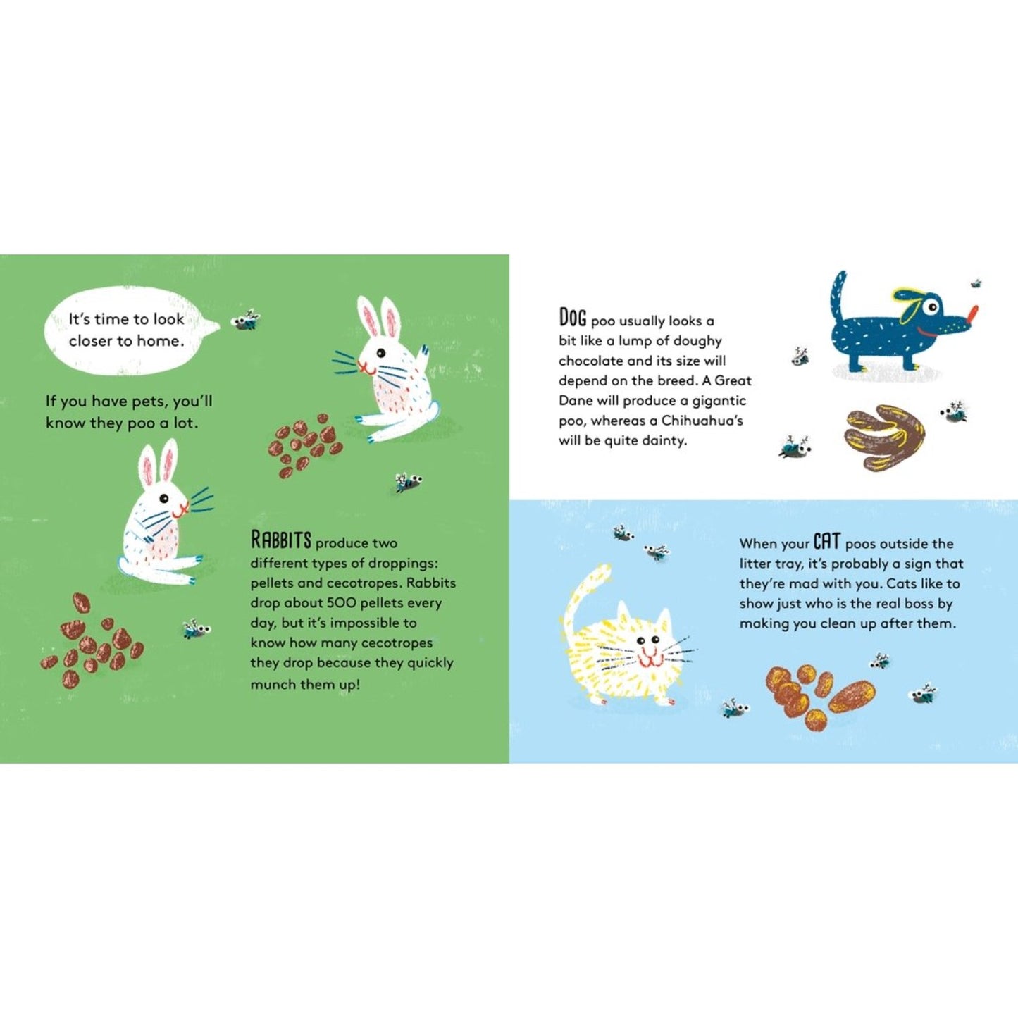 Who Did This Poo? | Paperback | Humour for Children