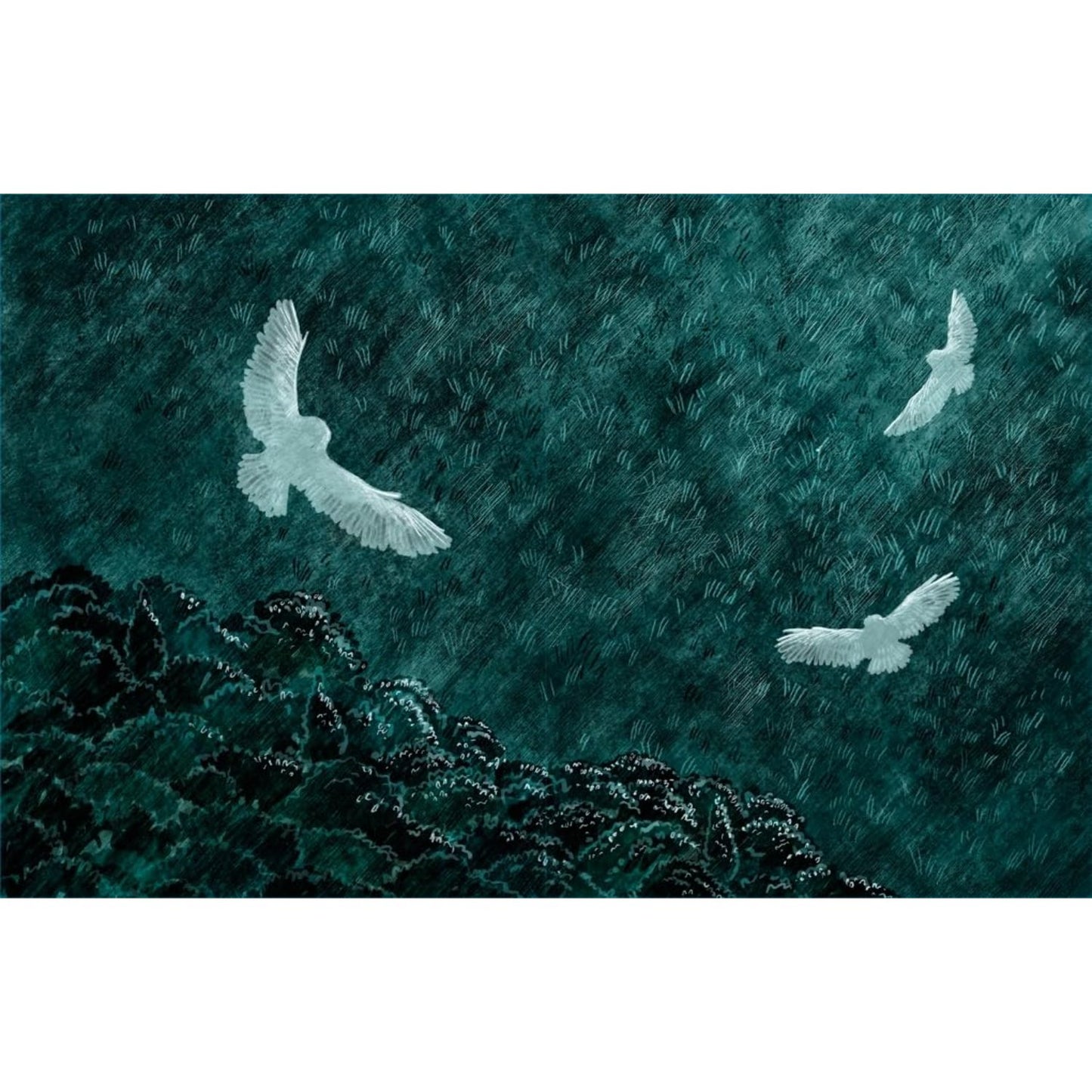 Walk in the Dark | Hardcover | Children's Book on Nature