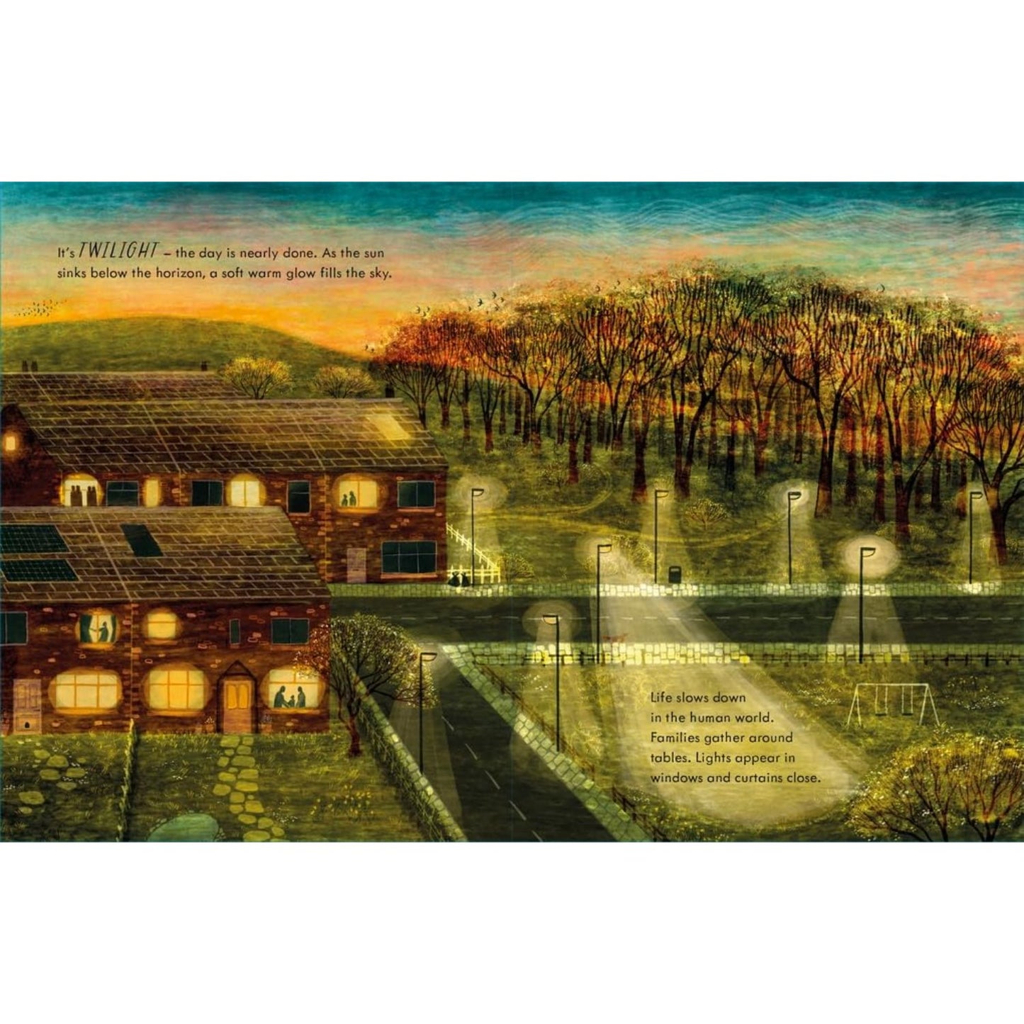 Walk in the Dark | Hardcover | Children's Book on Nature