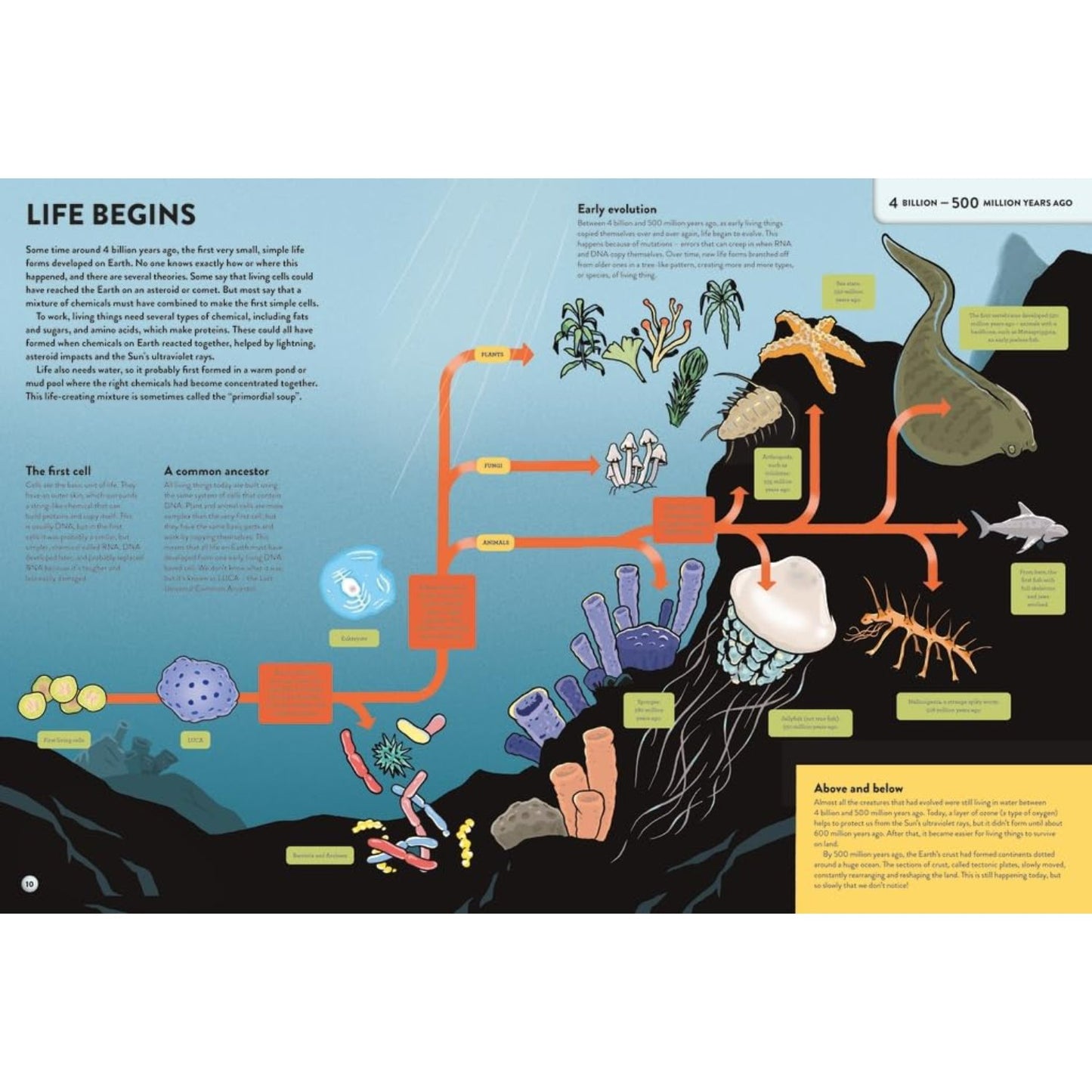 The History of Everything in 32 Pages | Paperback | Children's Book