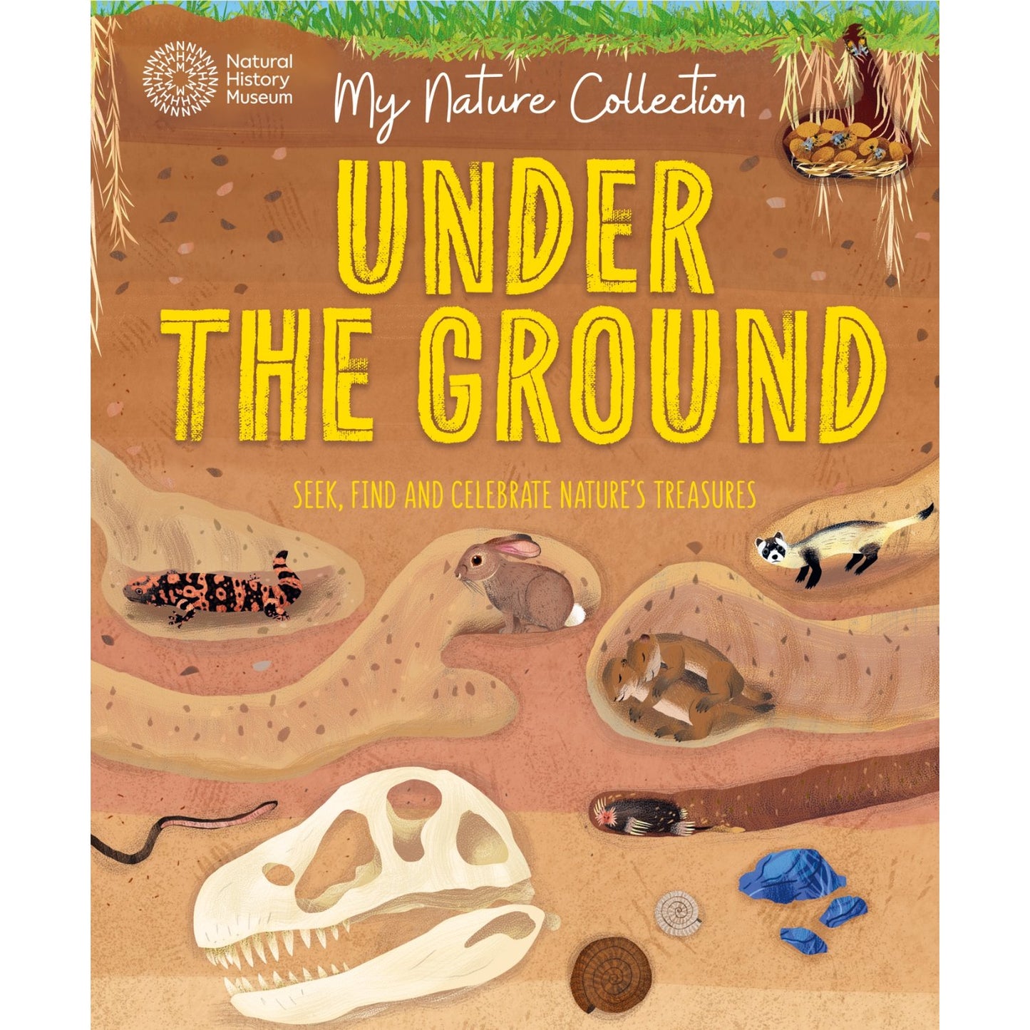 Under the Ground - Seek, find and celebrate nature's treasures with the Natural History Museum | Paperback | Children's Books on Nature