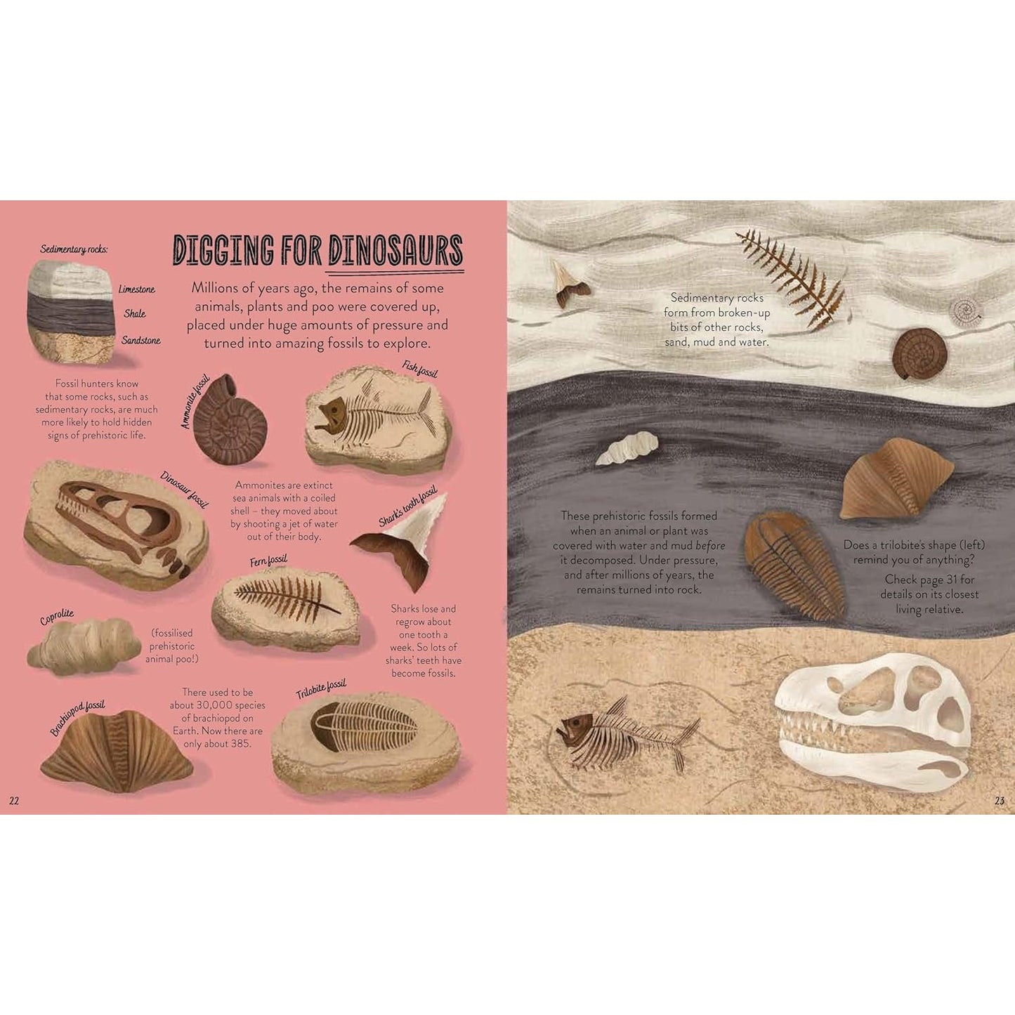 Under the Ground - Seek, find and celebrate nature's treasures with the Natural History Museum | Paperback | Children's Books on Nature