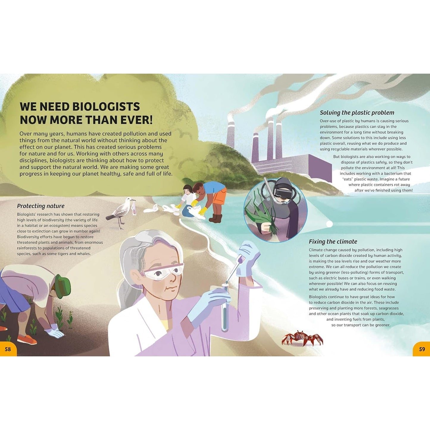Your Expert Guide: Biology for Young Scientists | Hardcover | Children's Book