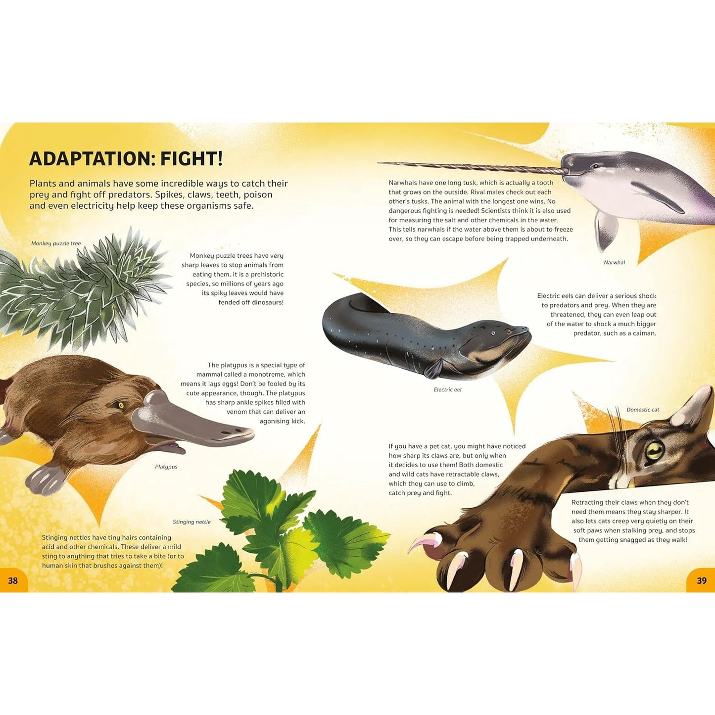 Your Expert Guide: Biology for Young Scientists | Hardcover | Children's Book