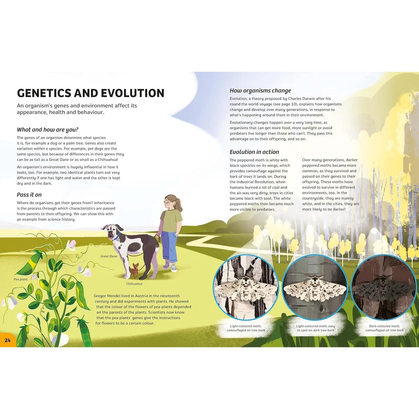 Your Expert Guide: Biology for Young Scientists | Hardcover | Children's Book