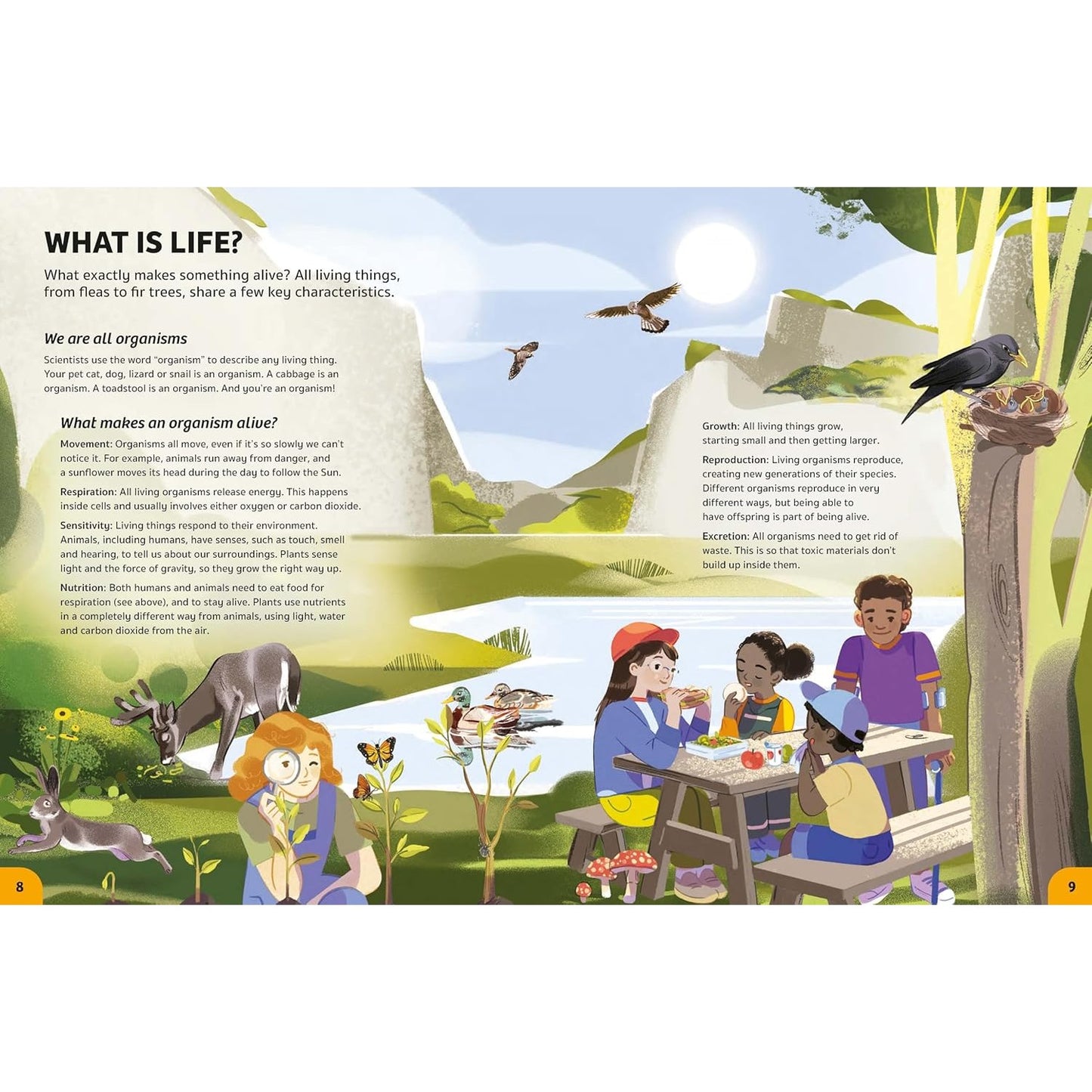 Your Expert Guide: Biology for Young Scientists | Hardcover | Children's Book