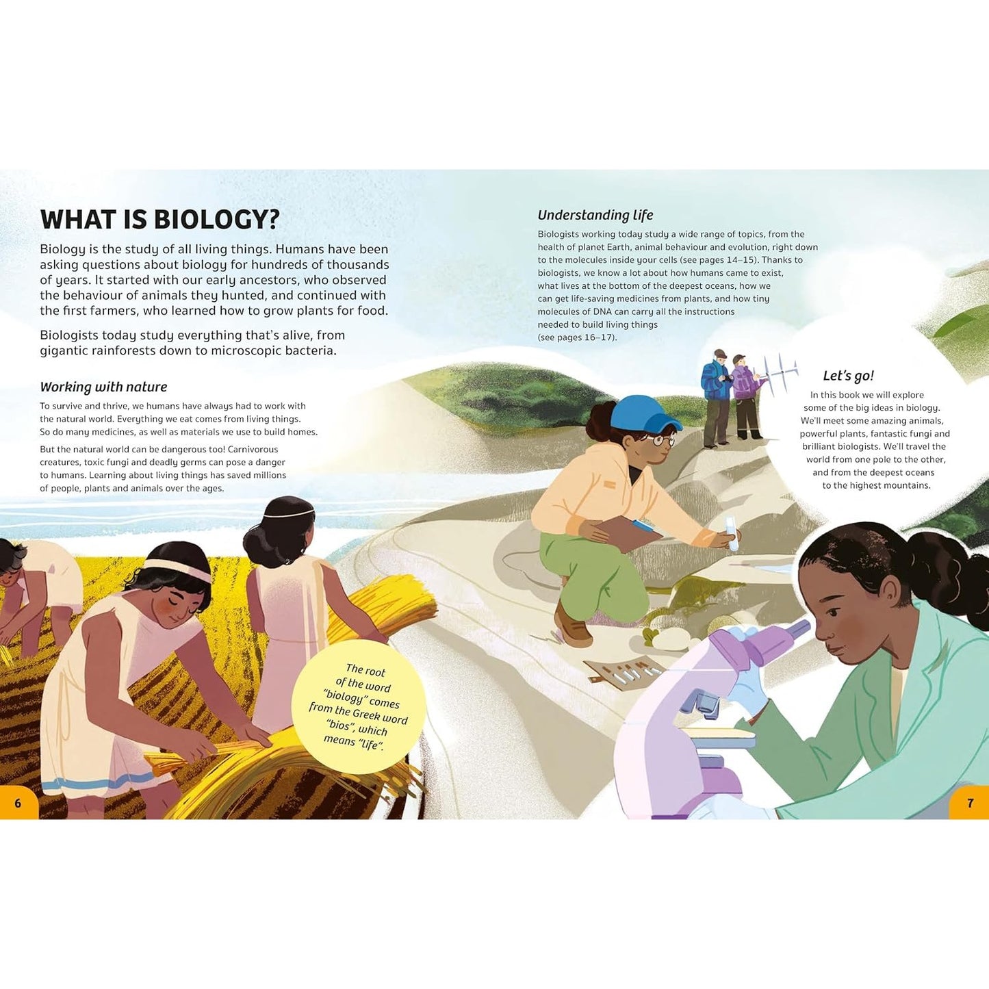 Your Expert Guide: Biology for Young Scientists | Hardcover | Children's Book