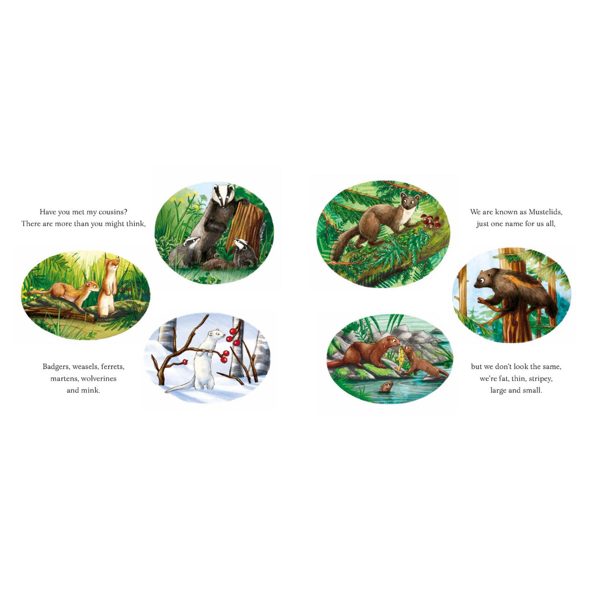 Sample pages (4) from 'I am Oliver the Otter' by Pam Ayres and Nicola O'Byrne - preschool paperback