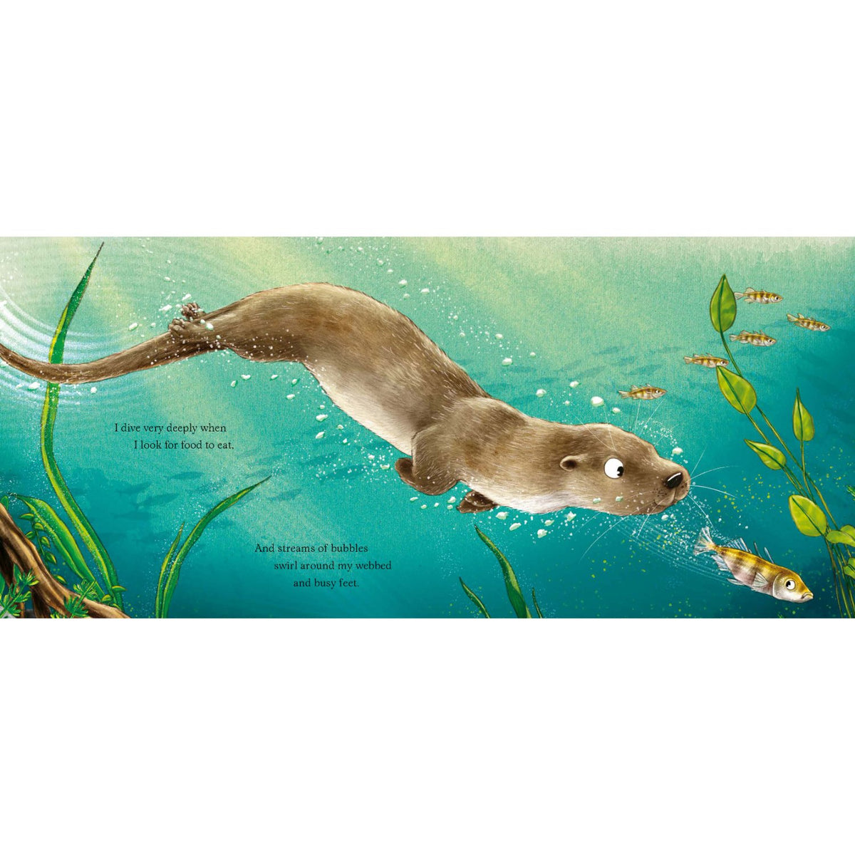 Sample pages (5) from 'I am Oliver the Otter' by Pam Ayres and Nicola O'Byrne - preschool paperback