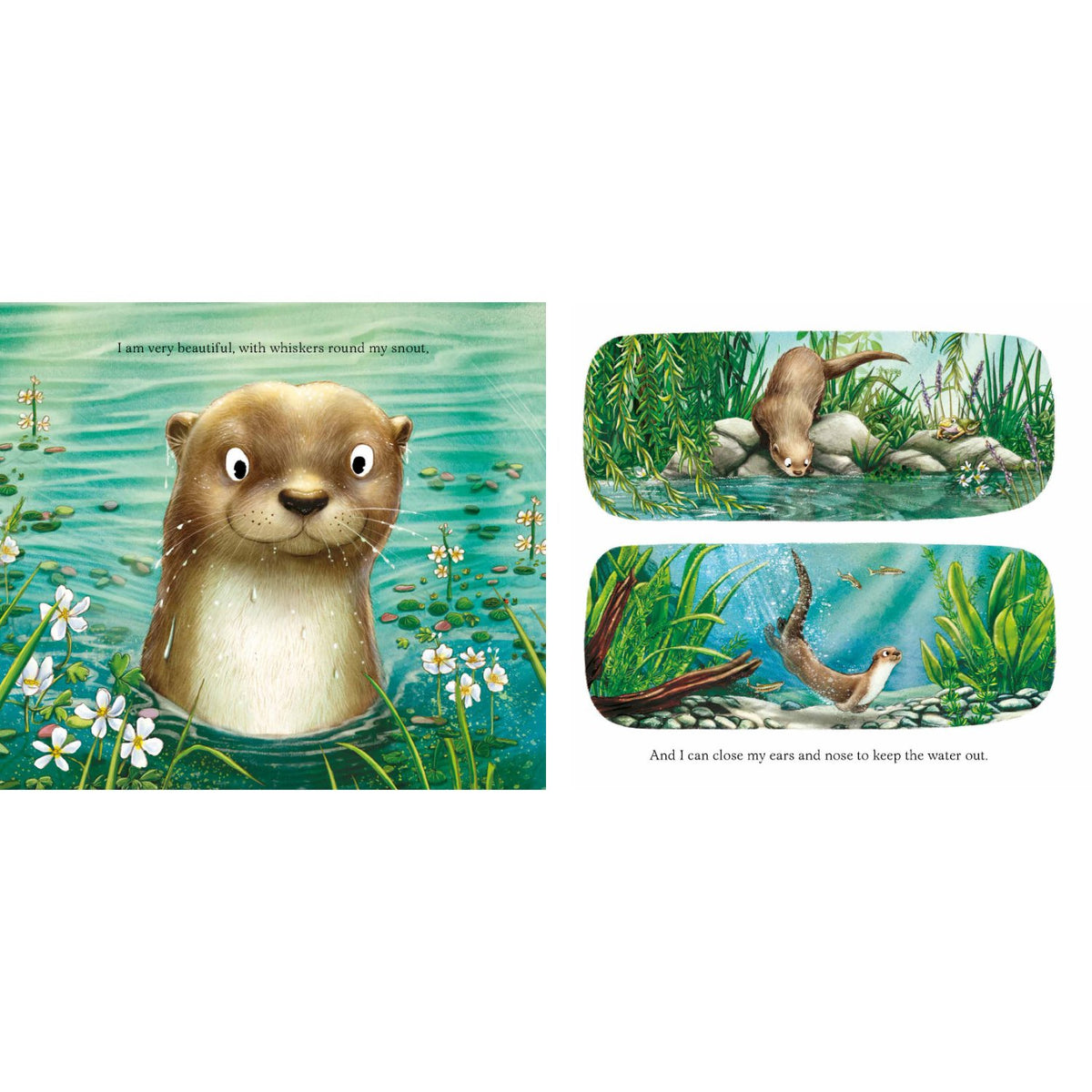 Sample pages (6) from 'I am Oliver the Otter' by Pam Ayres and Nicola O'Byrne - preschool paperback