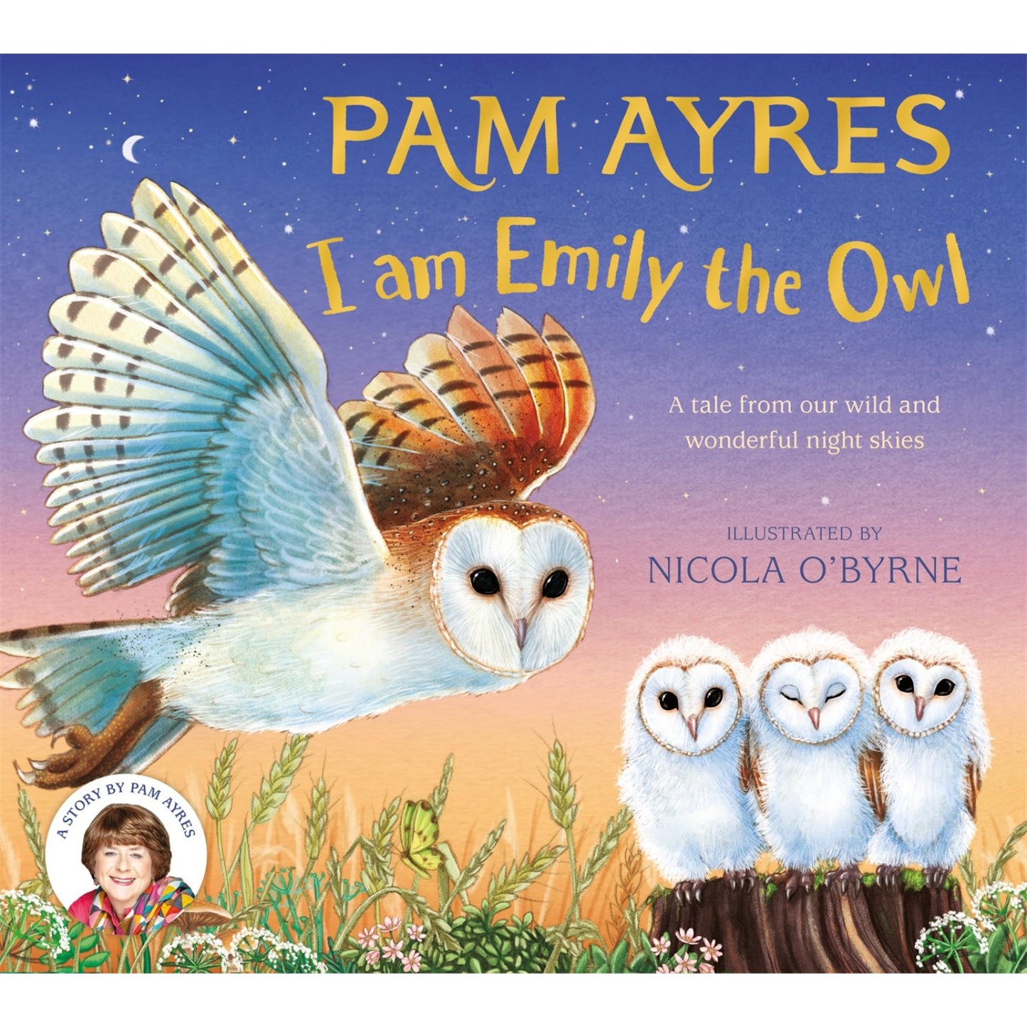 I am Emily the Owl - A tale from our wild and wonderful night skies | Hardcover | Children's Book