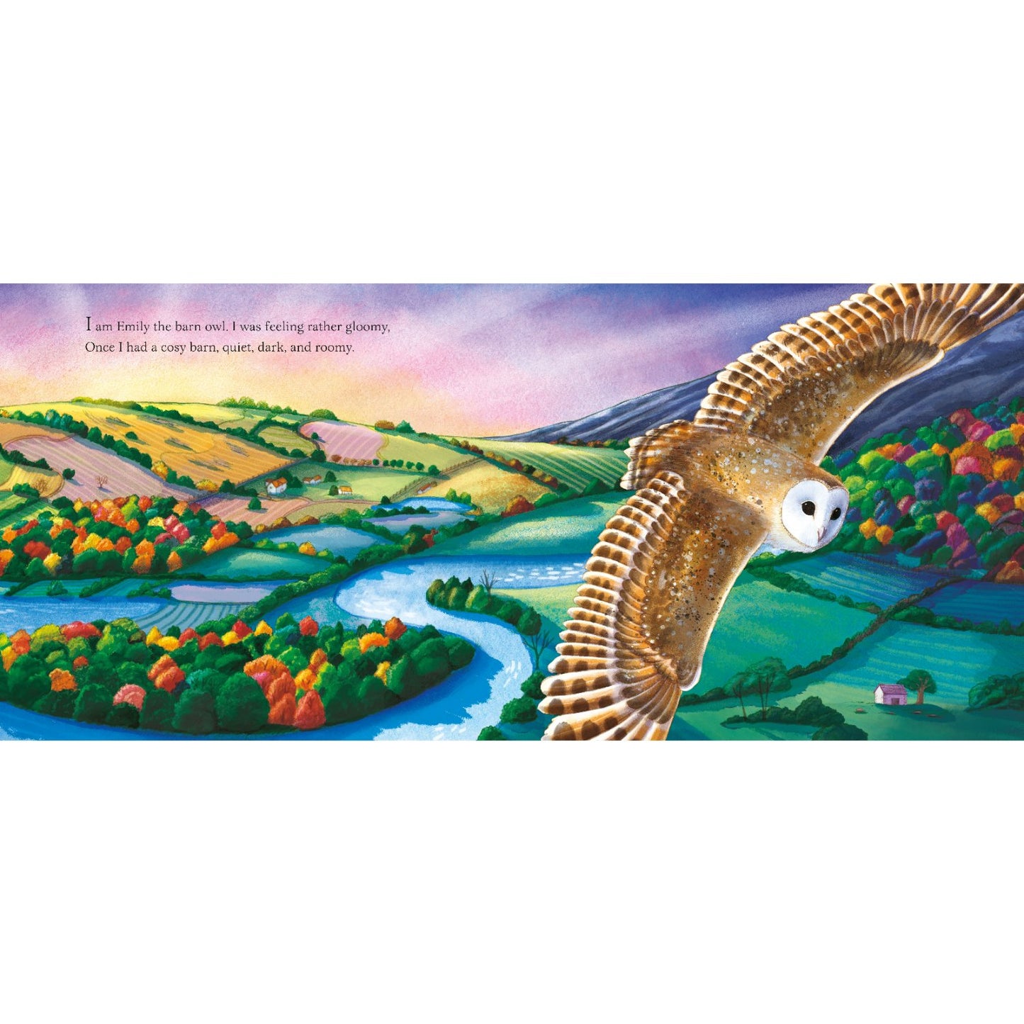 I am Emily the Owl - A tale from our wild and wonderful night skies | Hardcover | Children's Book