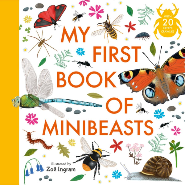 My First Book of Minibeasts | Paperback | Children's Book on Nature