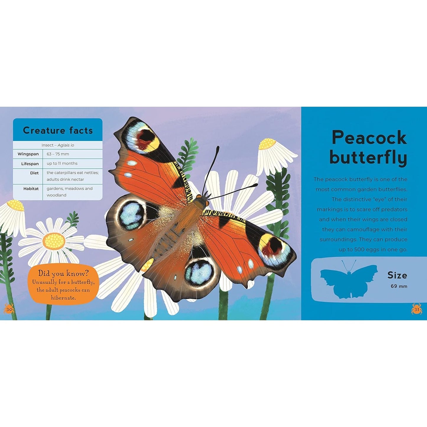 My First Book of Minibeasts | Paperback | Children's Book on Nature