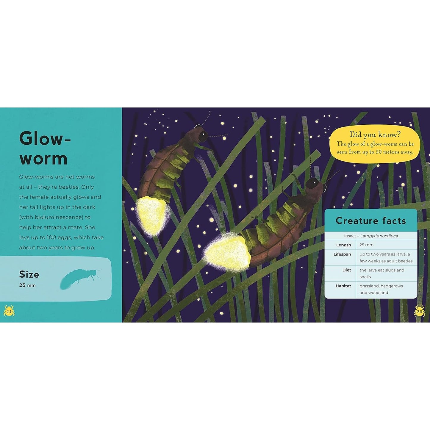 My First Book of Minibeasts | Paperback | Children's Book on Nature